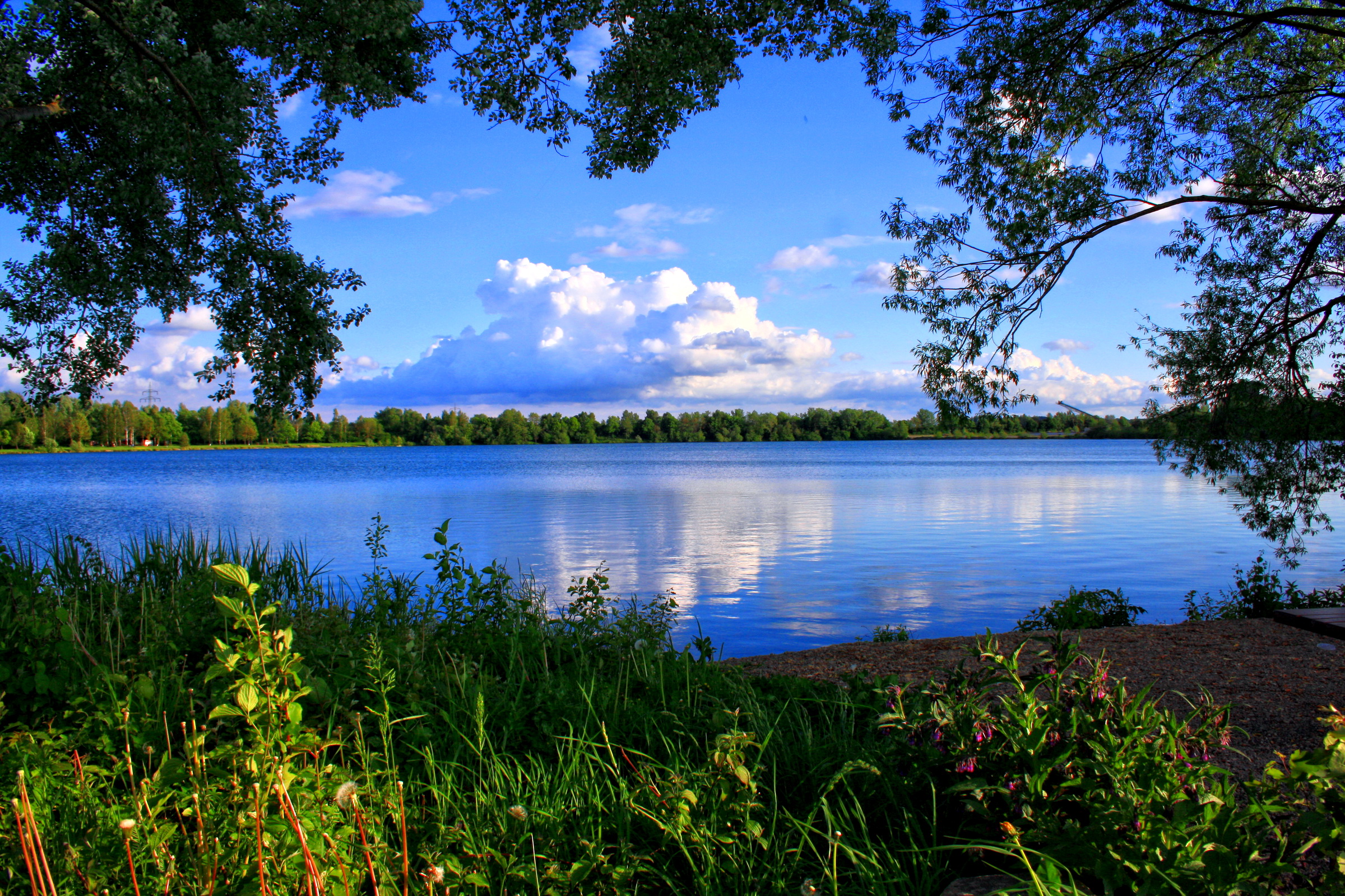фото природа озера