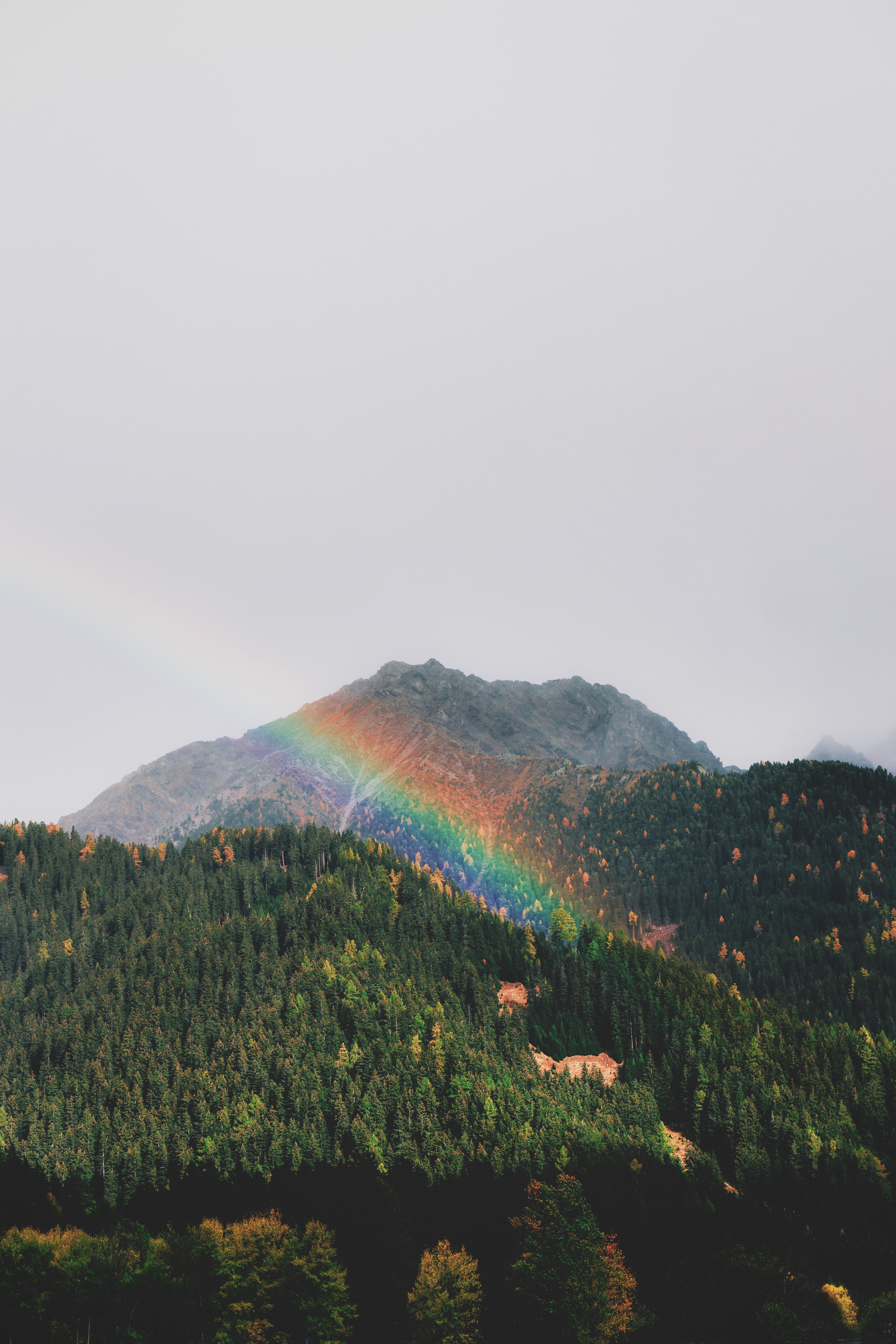 Download mobile wallpaper Nature, Forest, Trees, Mountains, Landscape, Rainbow for free.