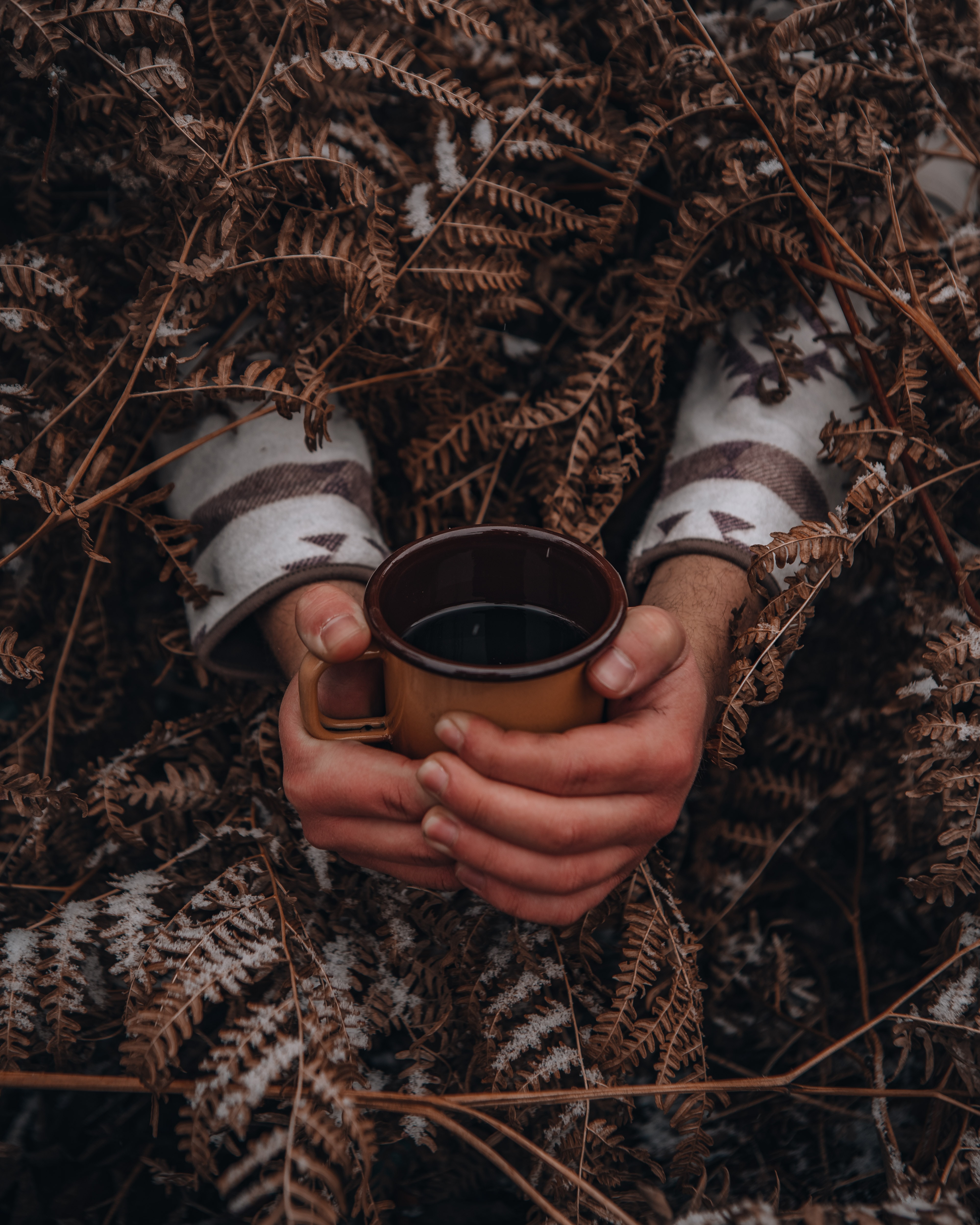 cup, miscellanea, snow, miscellaneous, fern, hands, mug HD wallpaper