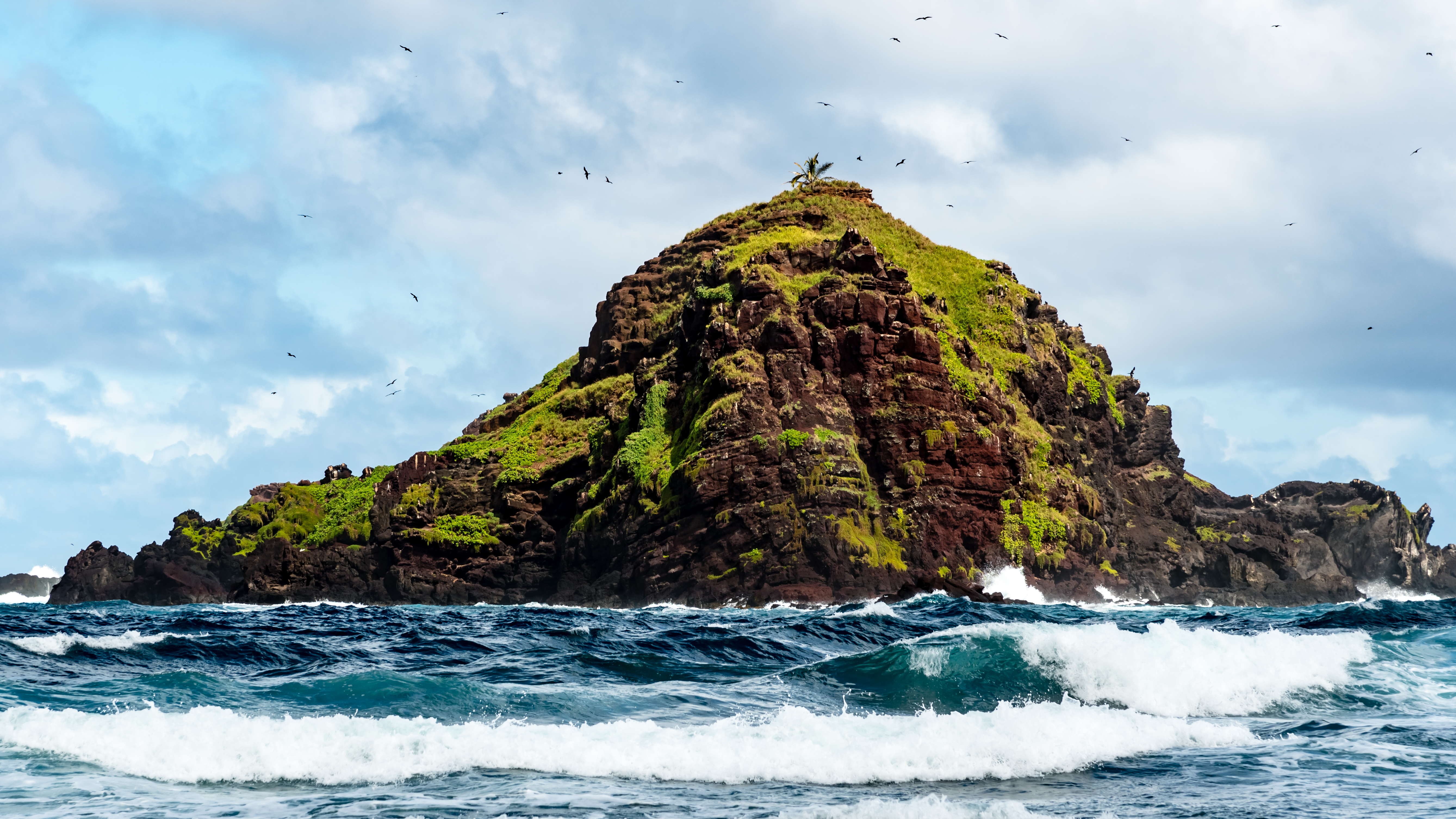 nature, waves, rock, moss, lump phone background