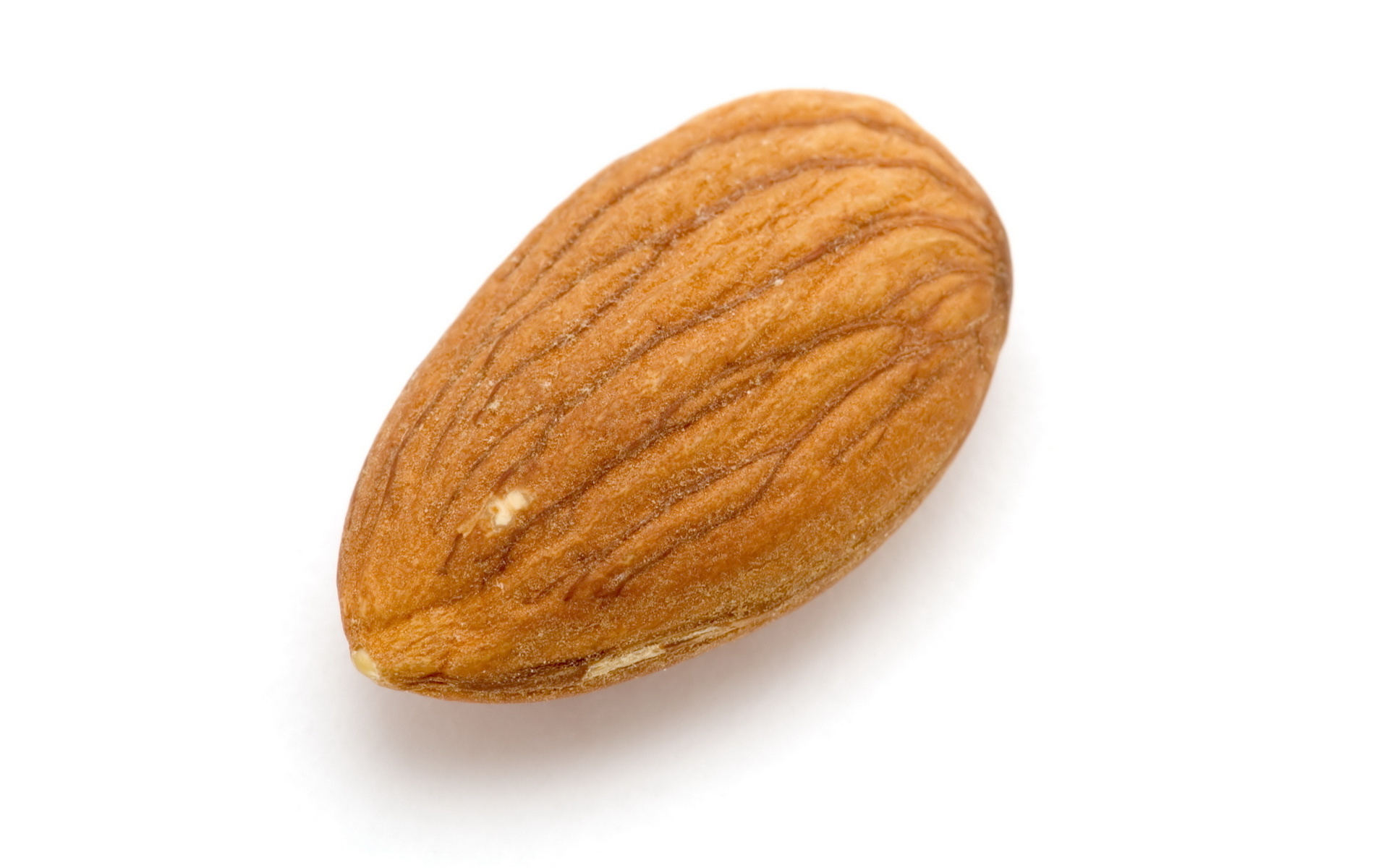 Almond  desktop Images