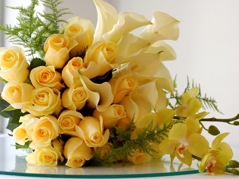 Handy-Wallpaper Blumen, Roses, Pflanzen, Bouquets kostenlos herunterladen.