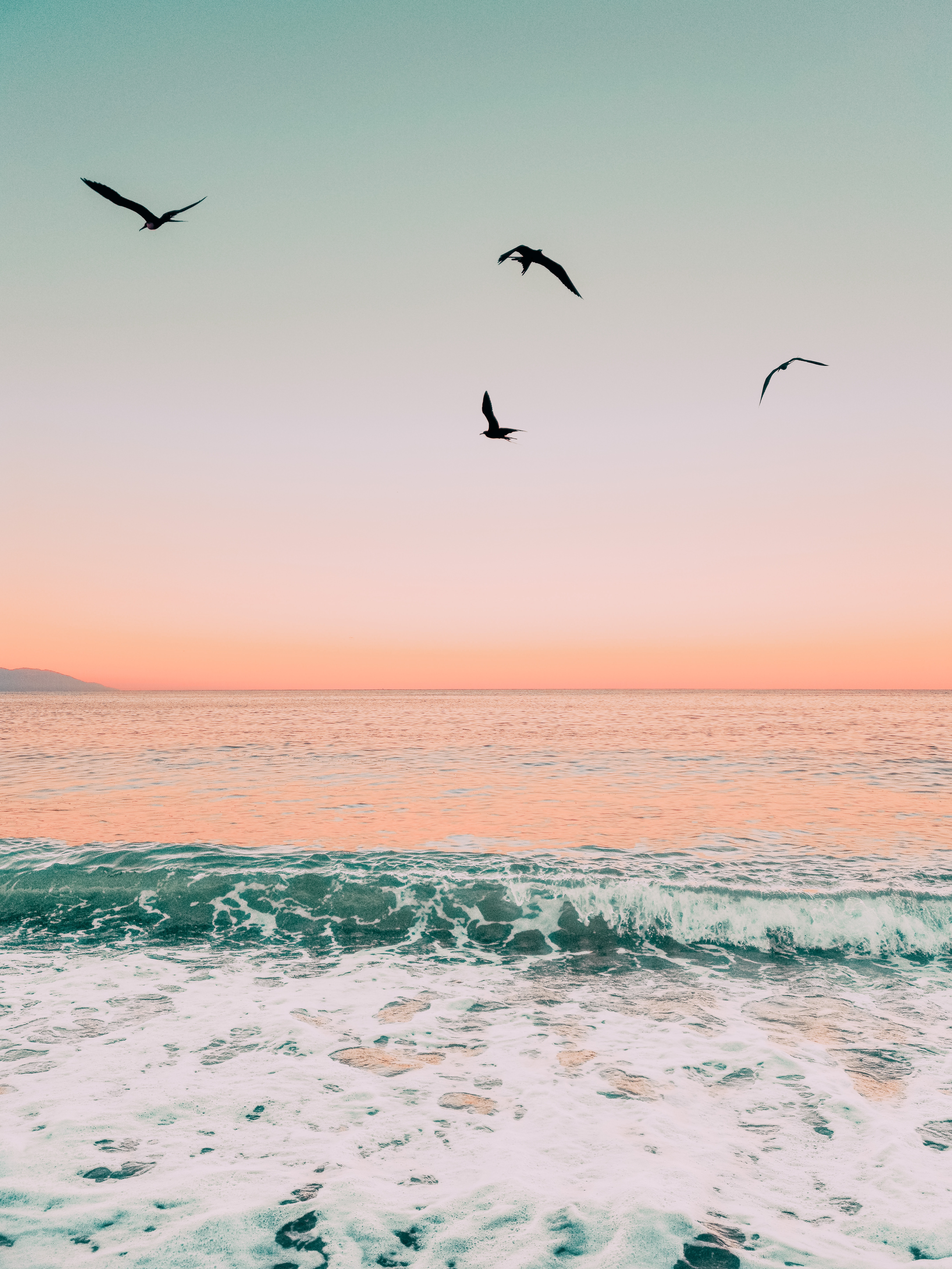 twilight, nature, birds, sea, waves, dusk Desktop Wallpaper