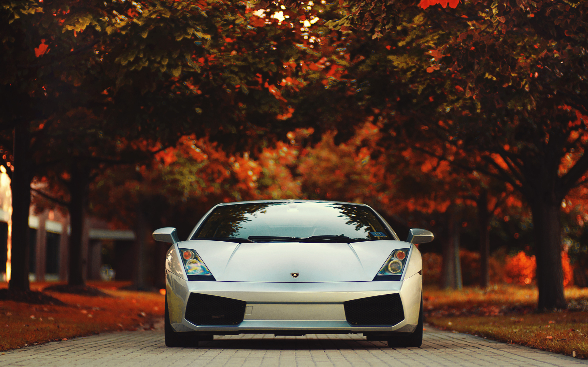 Lamborghini Gallardo White 1920x1080