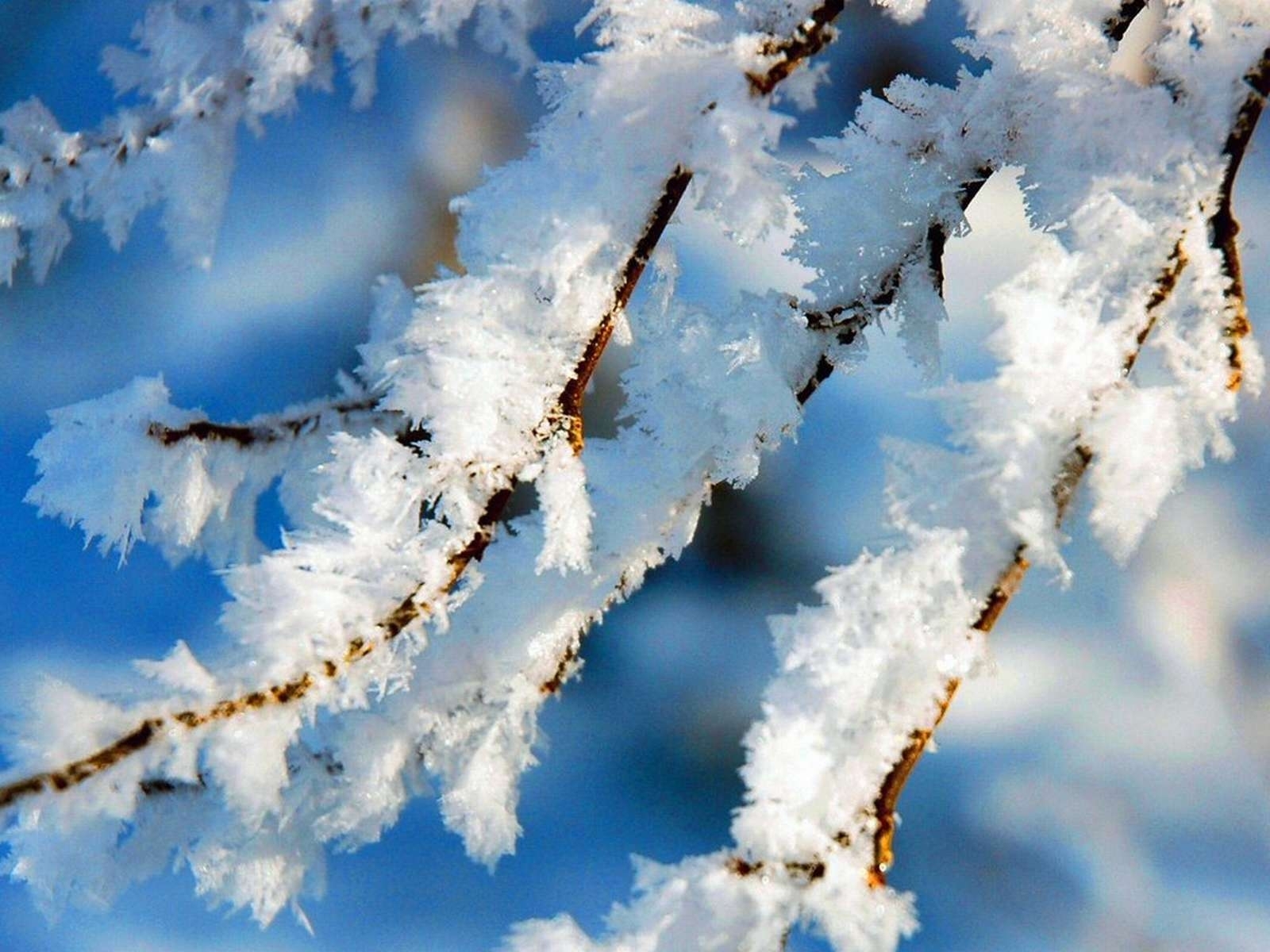 Download mobile wallpaper Snow, Landscape, Winter for free.