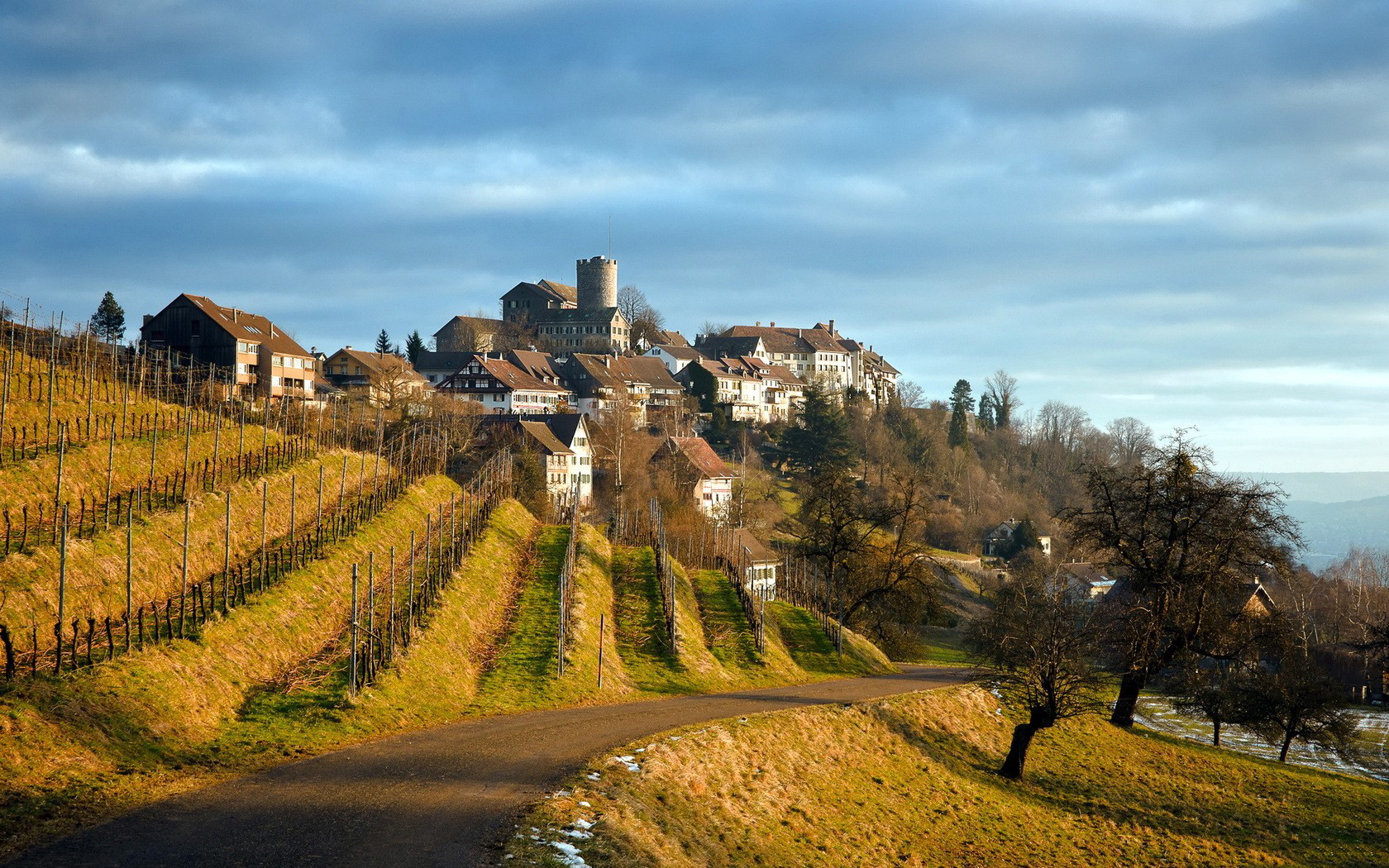 Город 5 холмов. Юг Франции Прованс виноградники. Южная Моравия Чехия виноградник. Арденнская возвышенность в Бельгии. Италия склон холма виноградник.