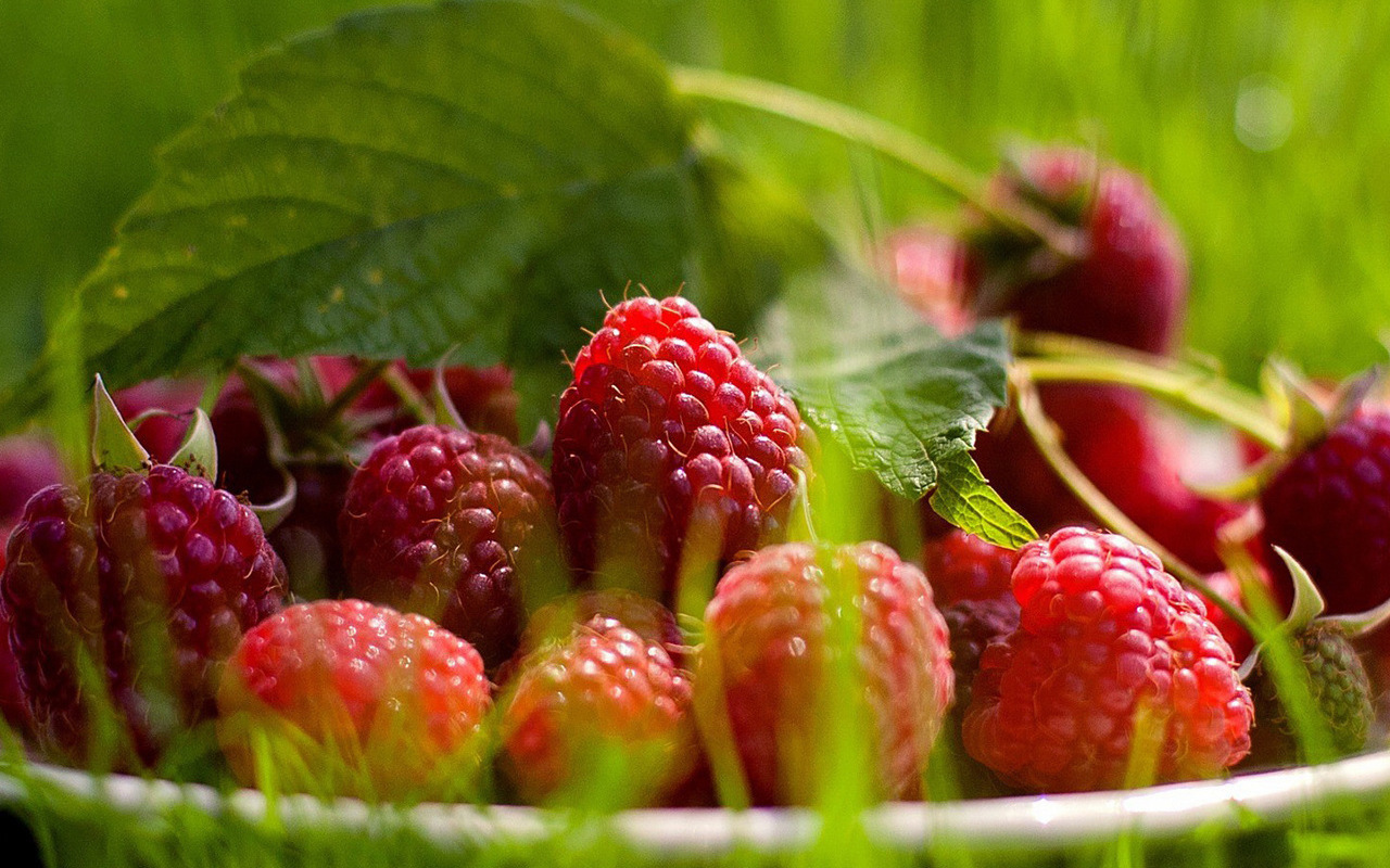 Download mobile wallpaper Raspberry, Food, Background for free.