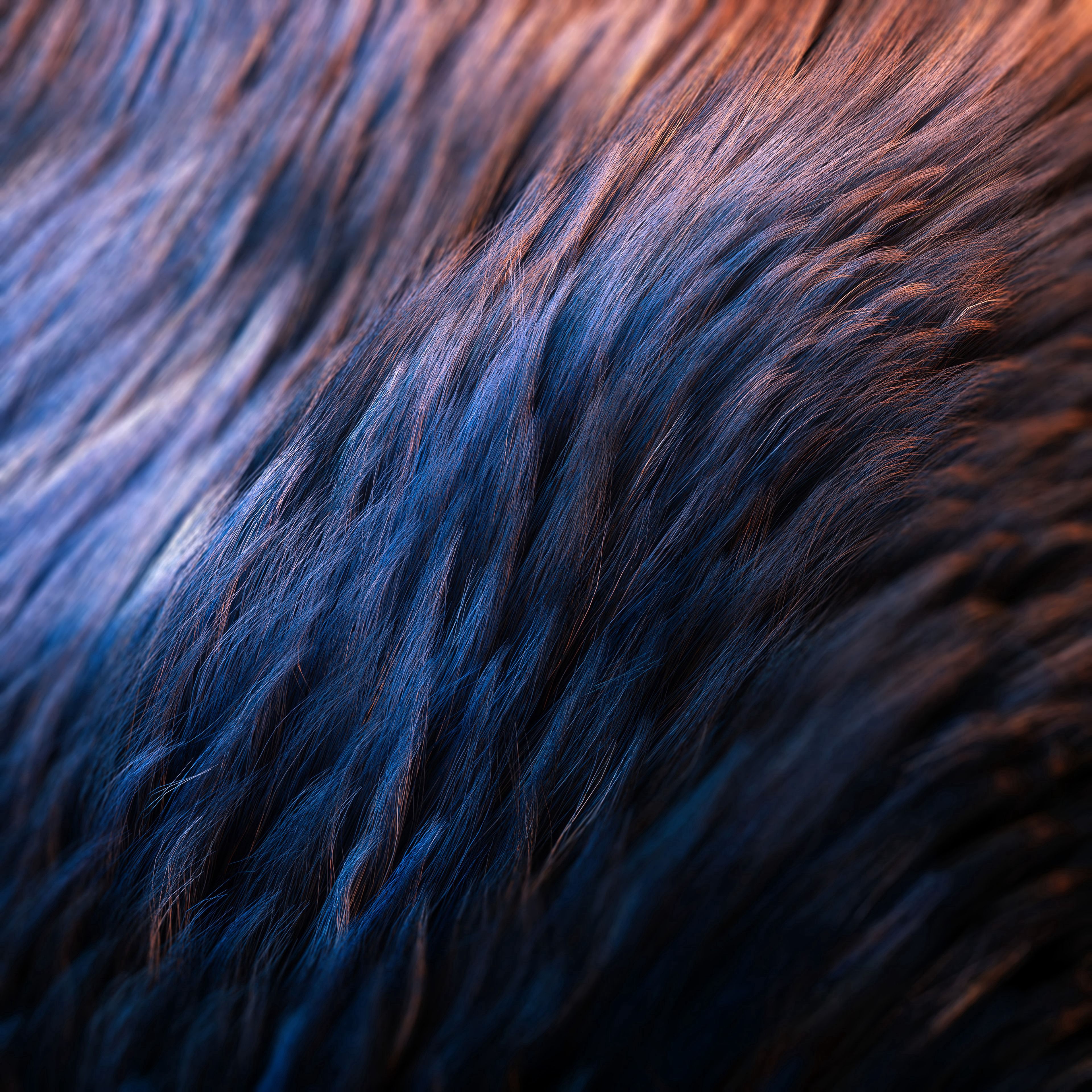 Download mobile wallpaper Wool, Macro, Close Up, Surface, Texture, Textures for free.