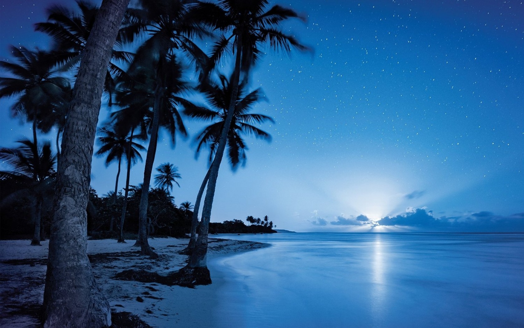 Пляж пальмы ночь