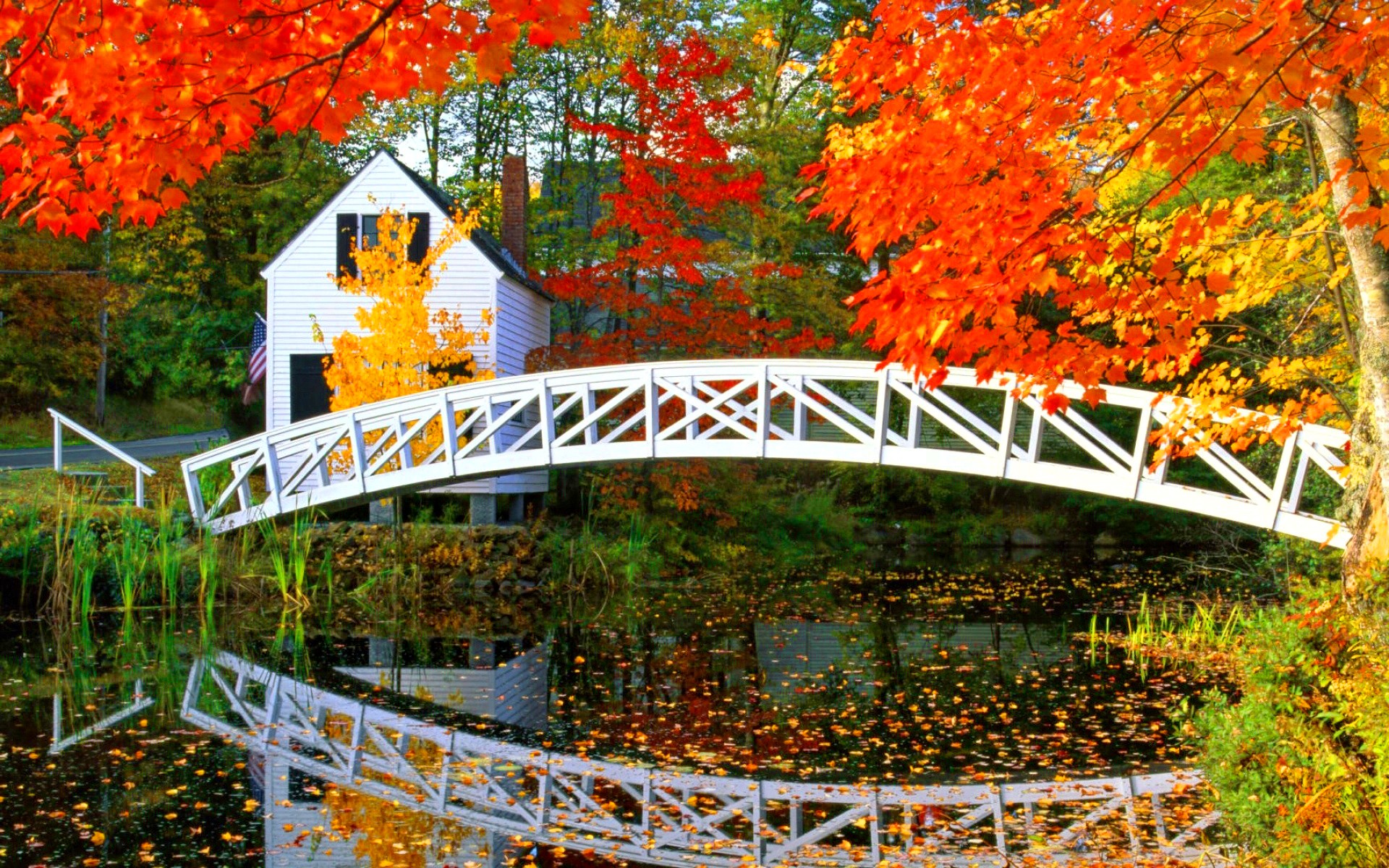 Осенний пруд мостик