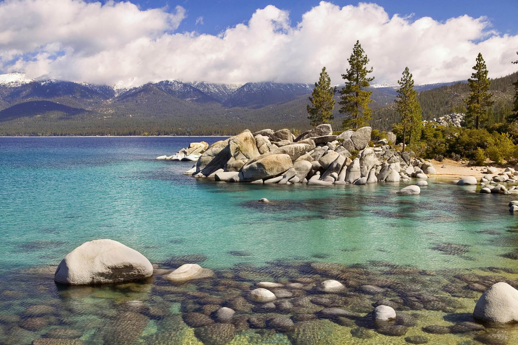 nature, earth, lake tahoe, lake, mountain, tree, united states, water, lakes Desktop home screen Wallpaper
