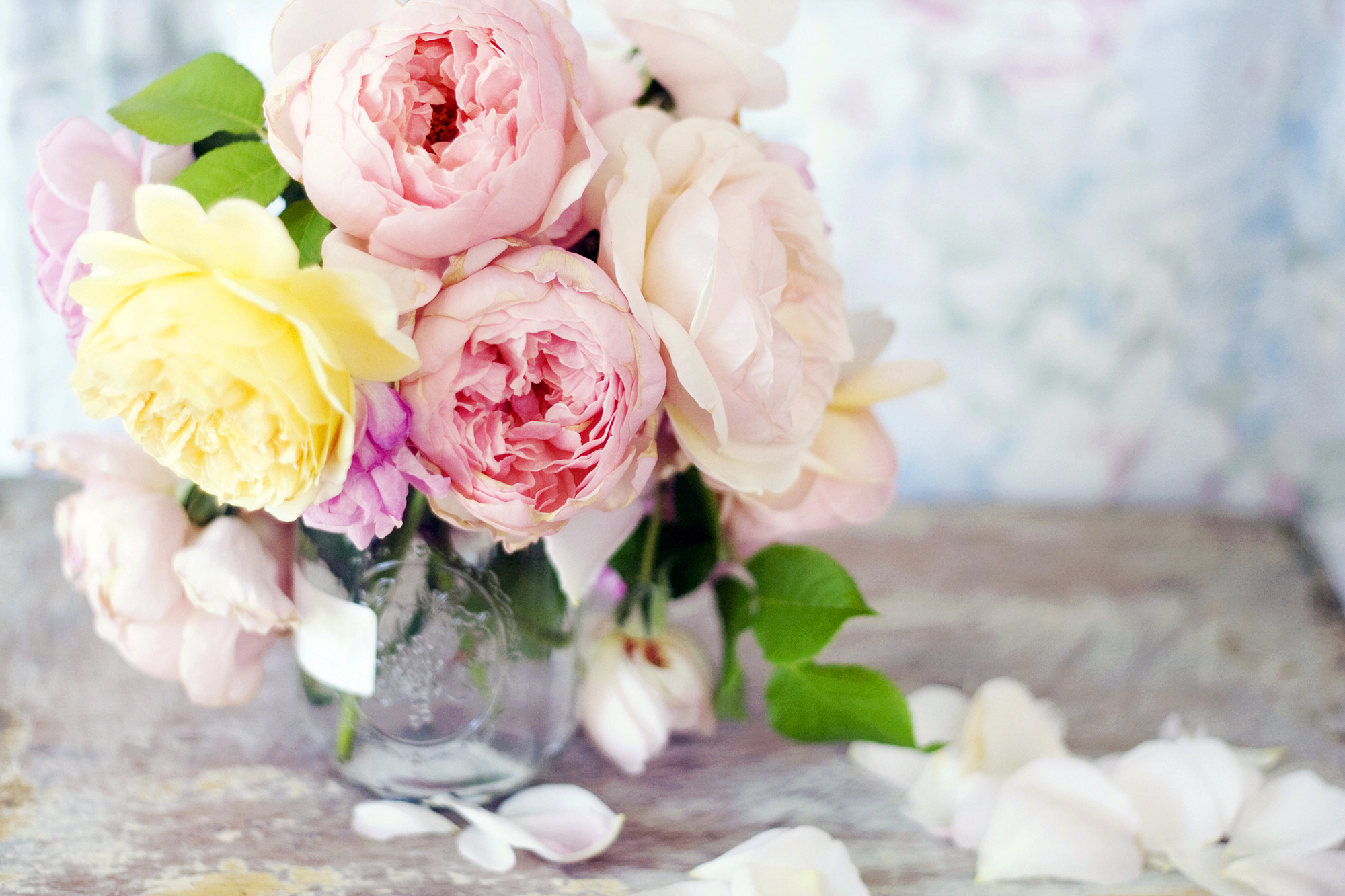 免费下载牡丹, 花瓶, 人造, 地球, 粉红色的花, 插花手机壁纸。