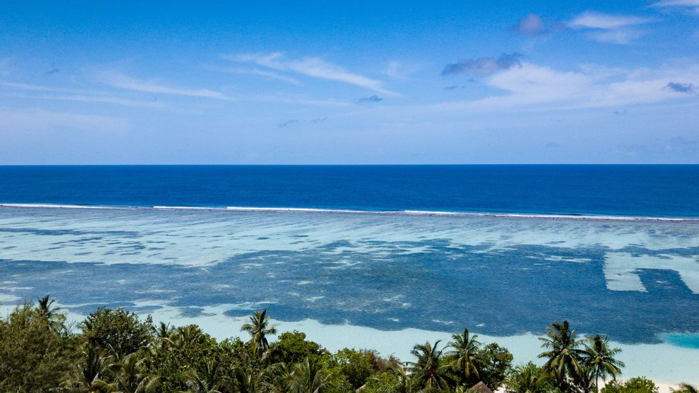 Ocean palms. Куба вид на океан. Тропический океан. Тропический пляж. Тропики вид на океан.