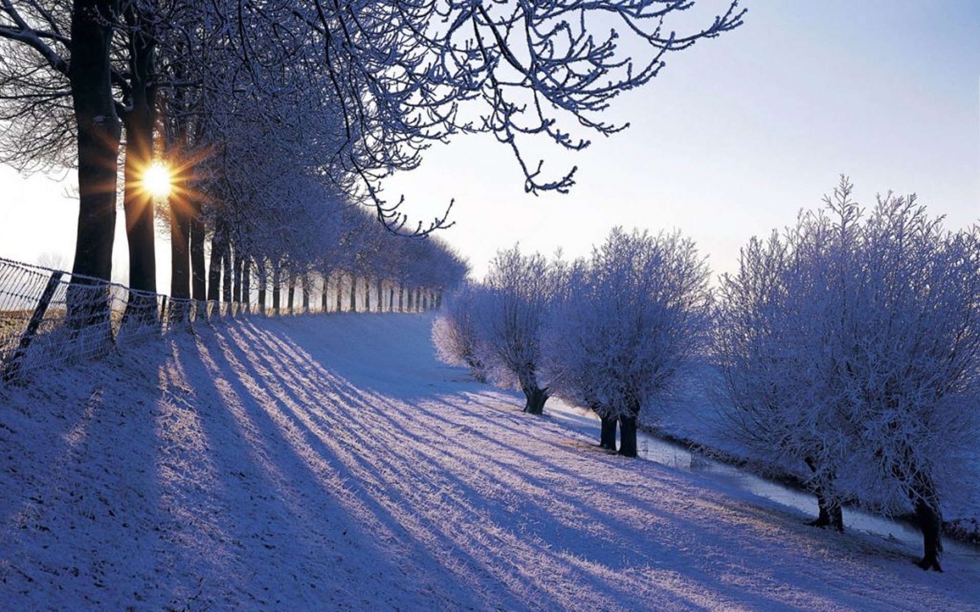 Download mobile wallpaper Winter, Landscape, Snow, Sun, Trees for free.