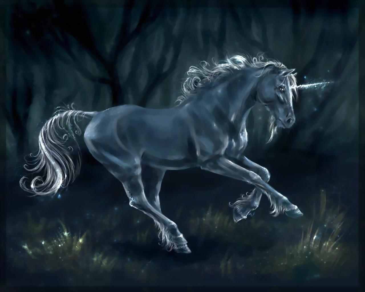 fantasy, unicorn download HD wallpaper