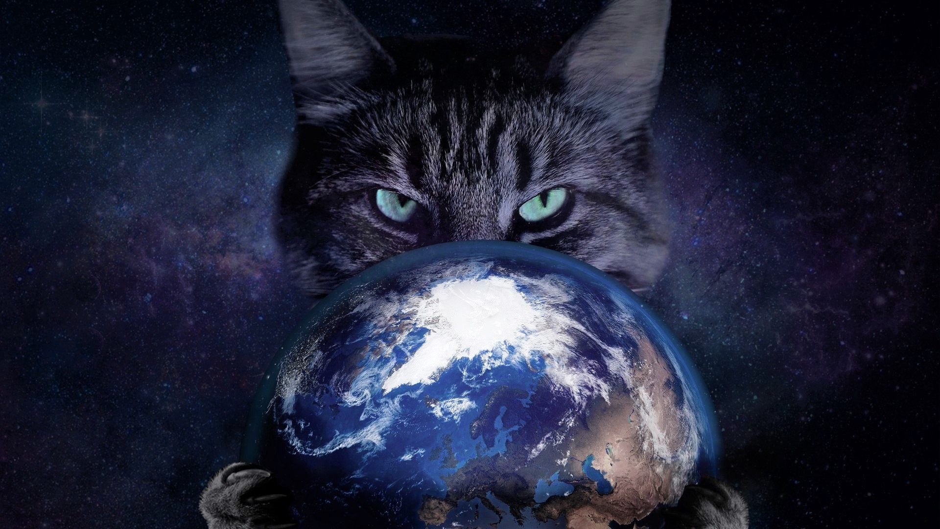 Планета кошек