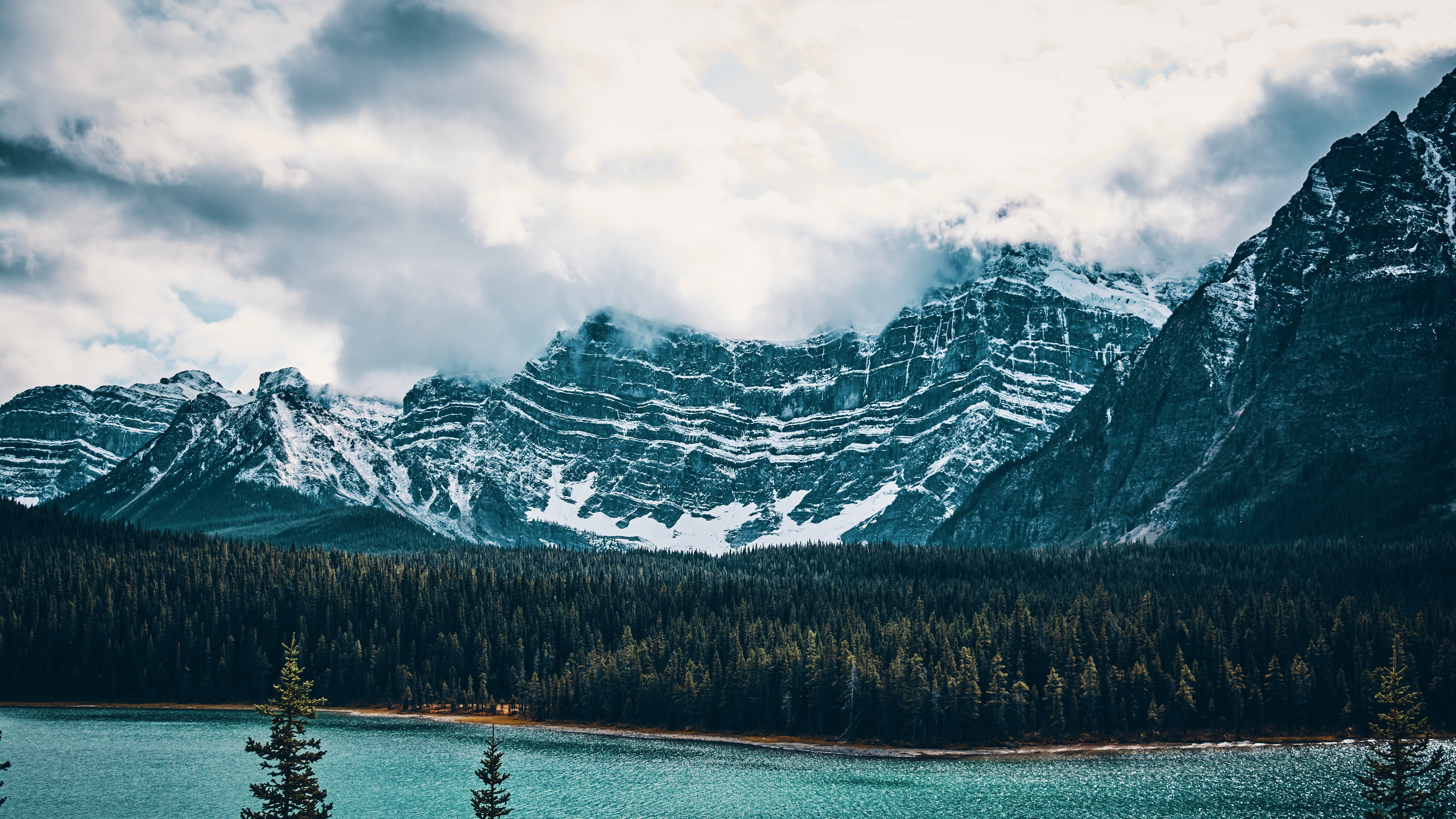 tops, nature, trees, mountains, vertex, lake for android