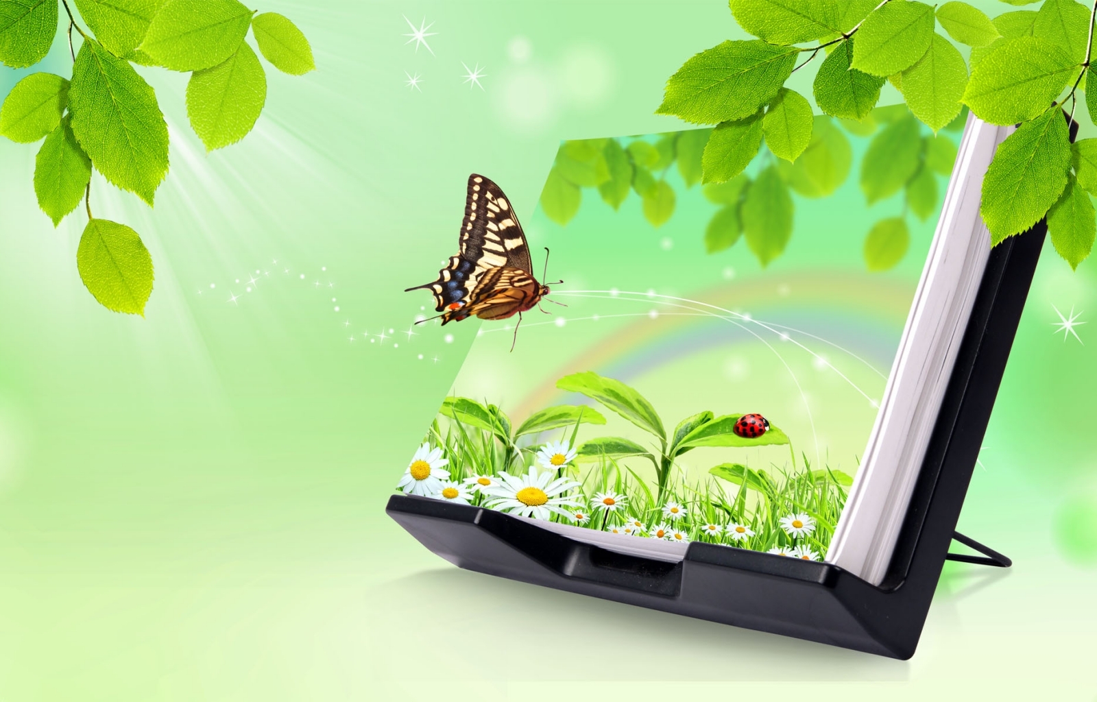 10179 télécharger le fond d'écran papillons, insectes, dessins, vert - économiseurs d'écran et images gratuitement