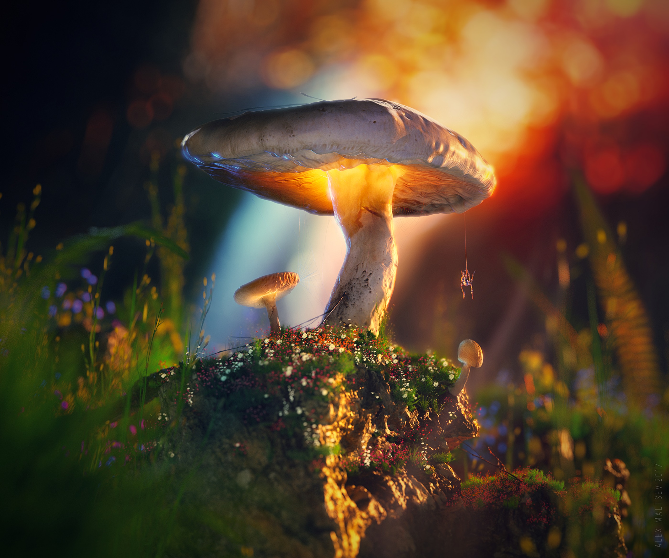 3d, glow, mashrooms, macro, spider for android