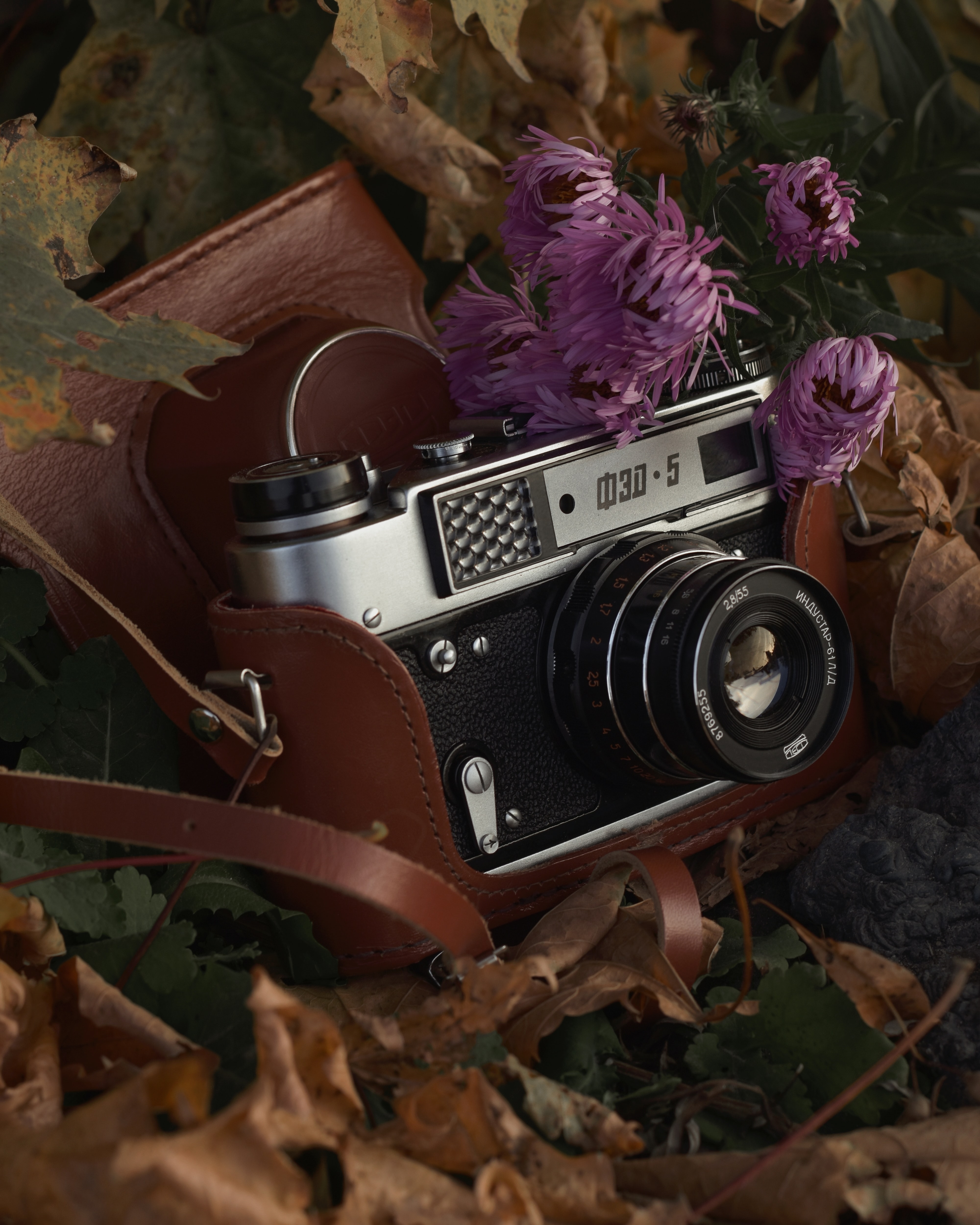 autumn, miscellanea, miscellaneous, vintage, foliage, retro, lens, camera