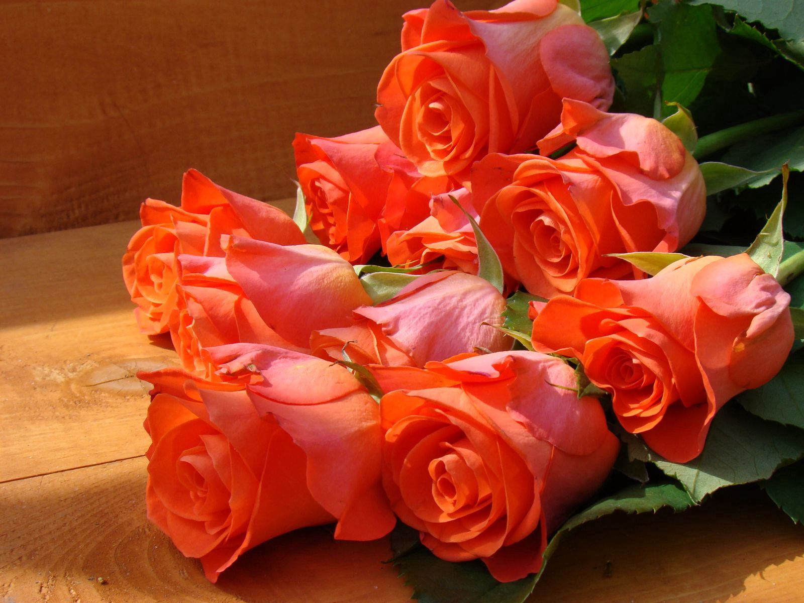 Download background roses, flowers, beauty, bouquet, bench