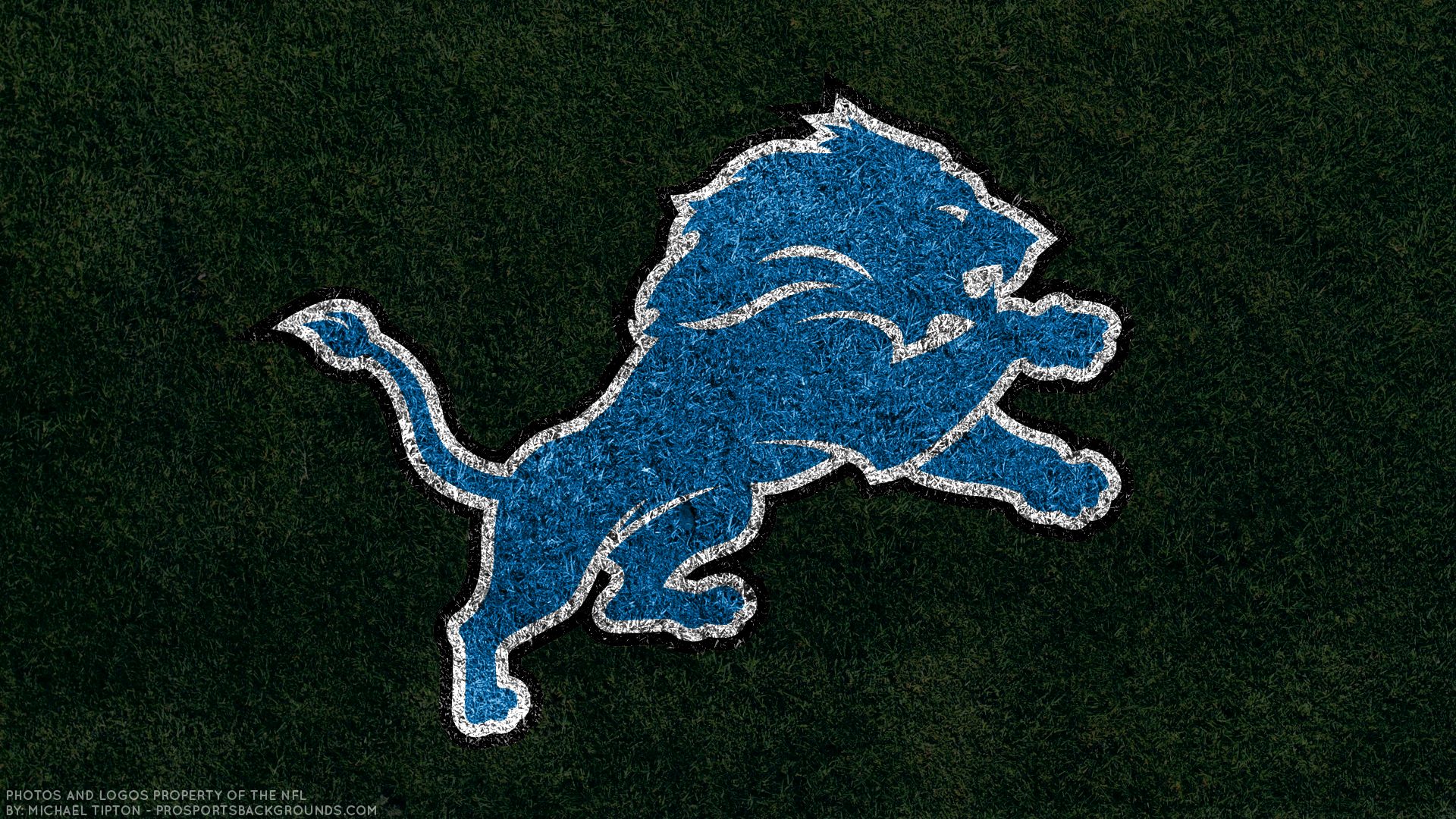 Detroit Lions, detroit, football, lions, logo, nfl, HD wallpaper