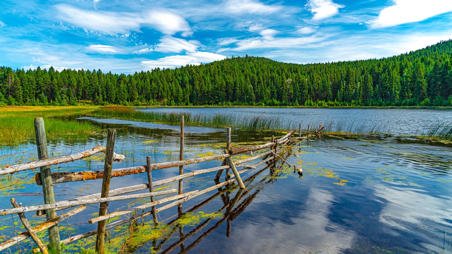 Lake n100. Озеро заборное. Озеро или забор. Ощеро илизабор. Озеро или забор картинка.