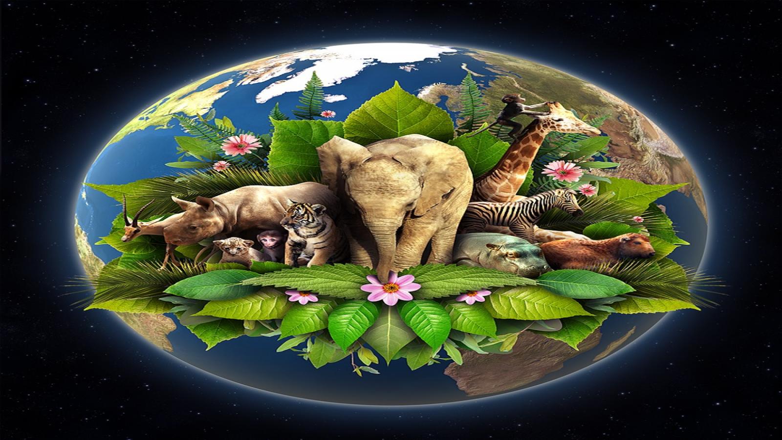 Живые существа одним словом. Животные земли. Животные планеты земля. Живые существа. Живая природа земли.