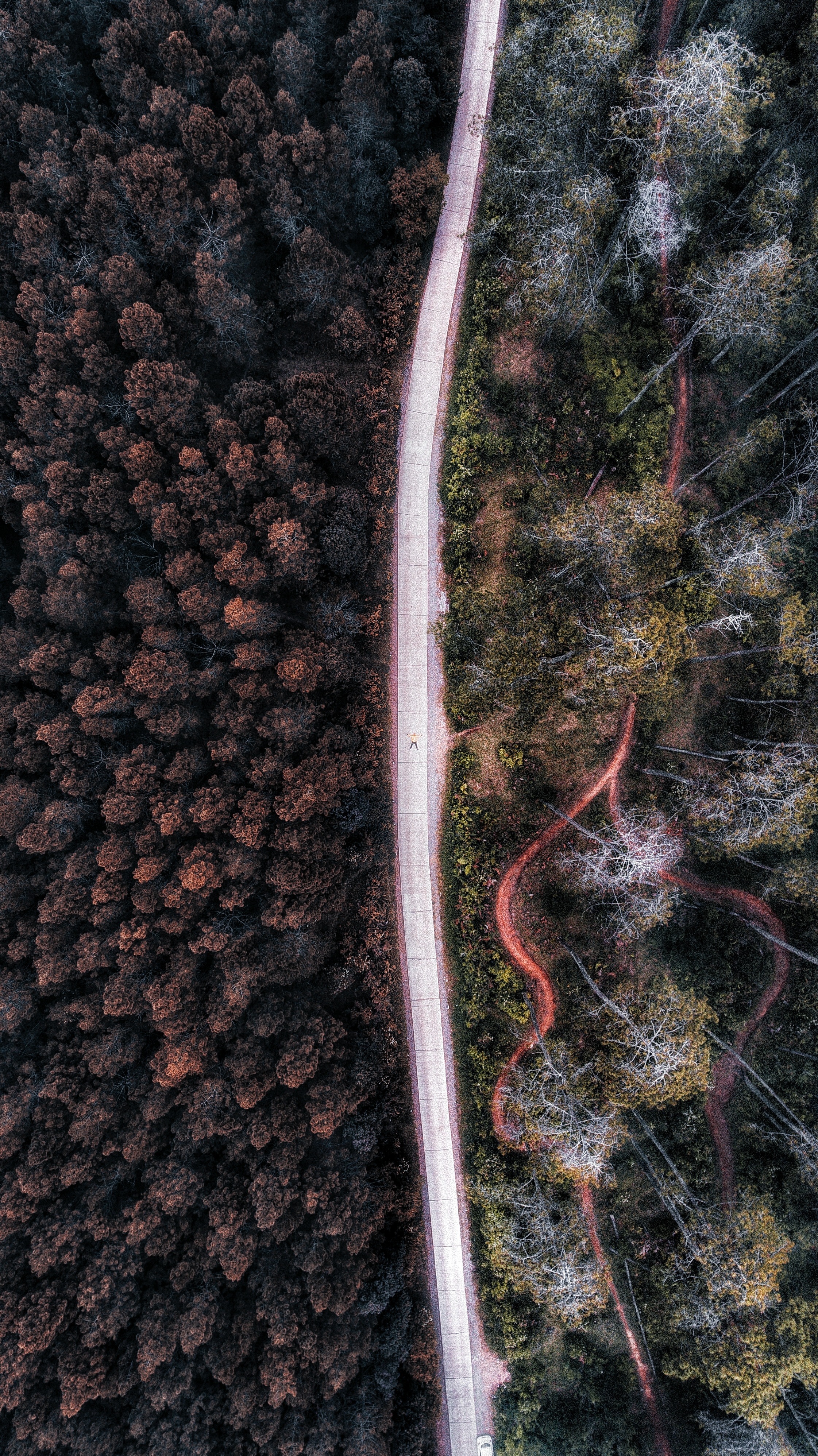 Download mobile wallpaper Nature, Trees, Road, Forest, View From Above, Indonesia for free.
