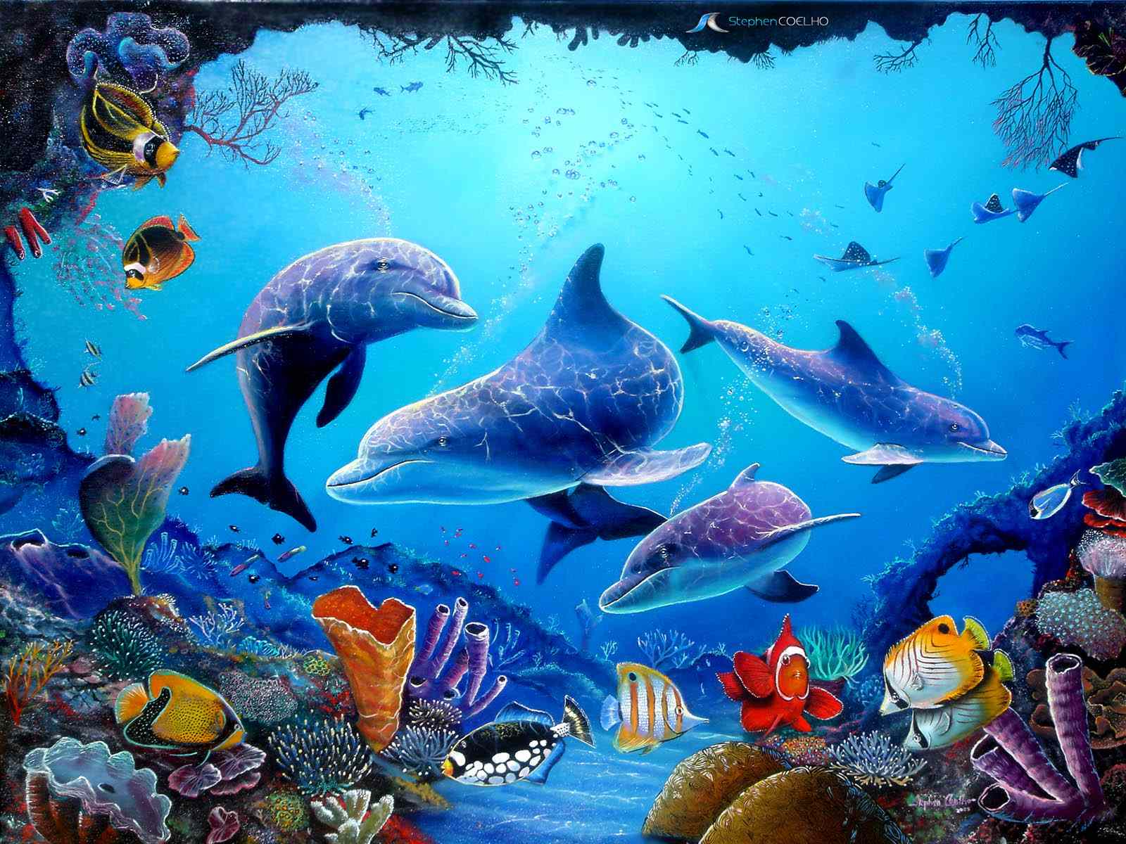181527 Bild herunterladen delfin, tiere, großer tümmler - Hintergrundbilder und Bildschirmschoner kostenlos