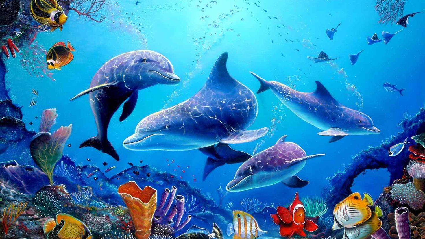 День водных животных в детском саду. Морские обитатели. Подводный мир океана. Подводные обитатели. Фотообои Морское дно.