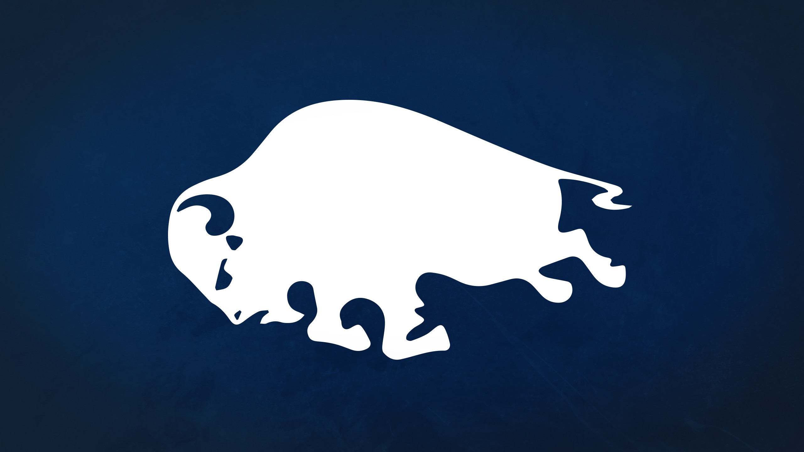 20 Buffalo Sabres HD Wallpapers and Backgrounds