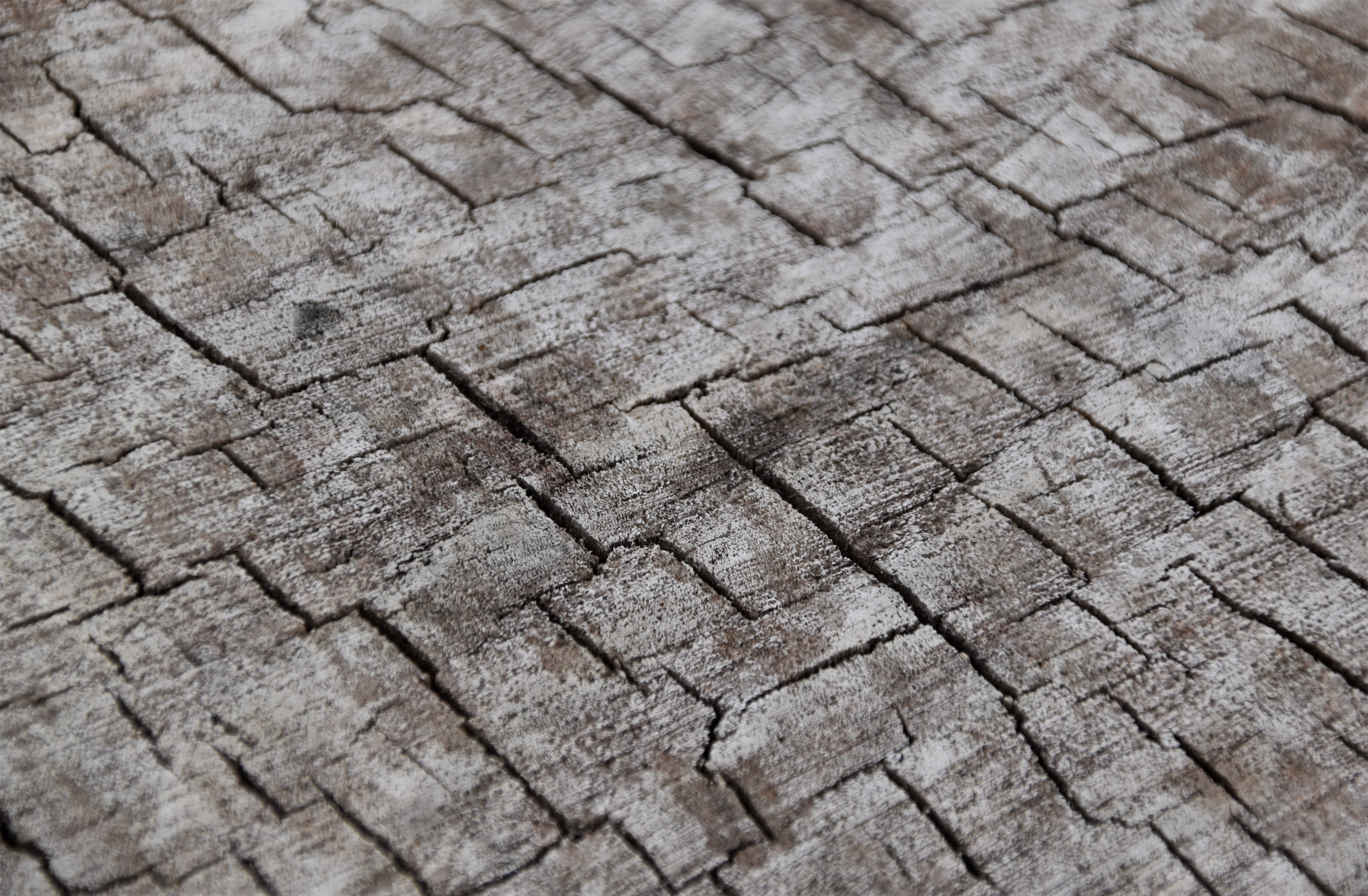 texture, wooden, textures, wood, tree, cracks, crack, log 4K Ultra