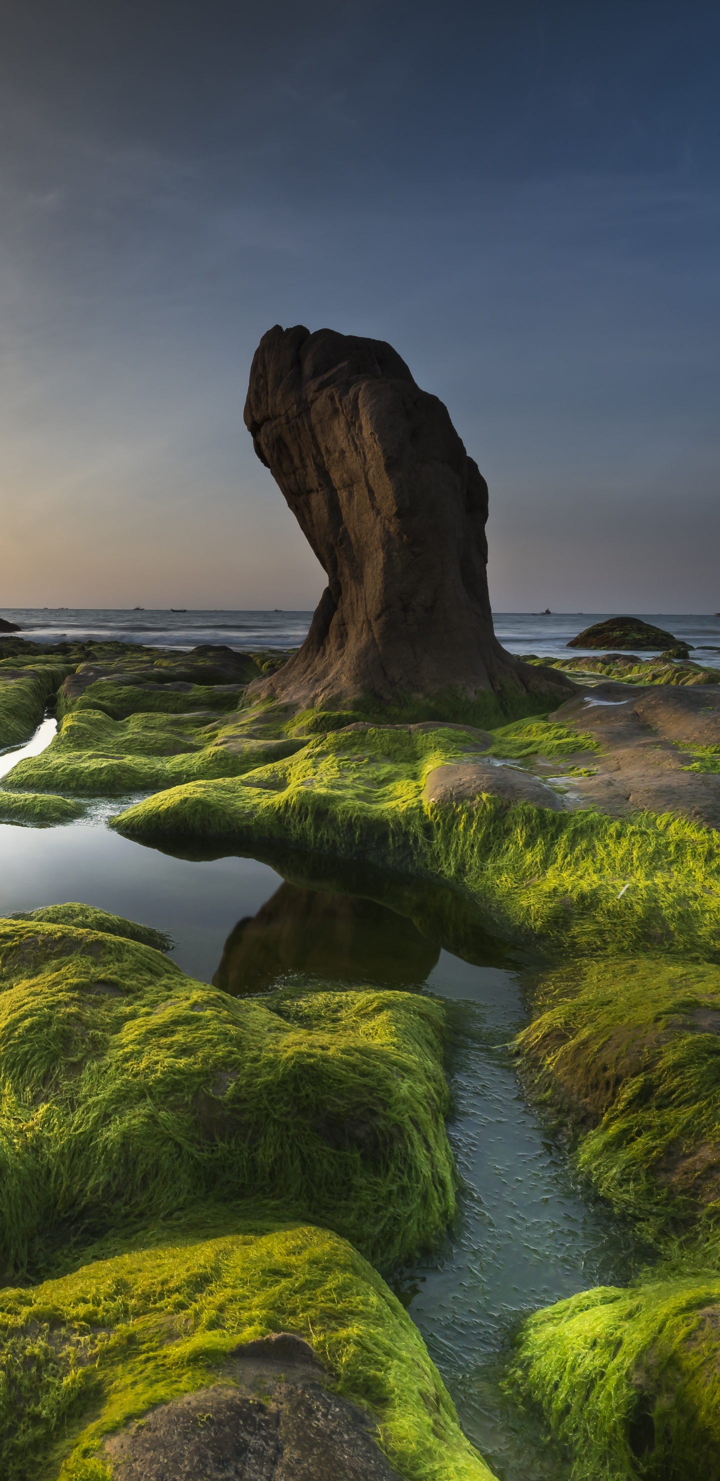 earth, coastline, seascape, stone, seaweed, horizon, algae