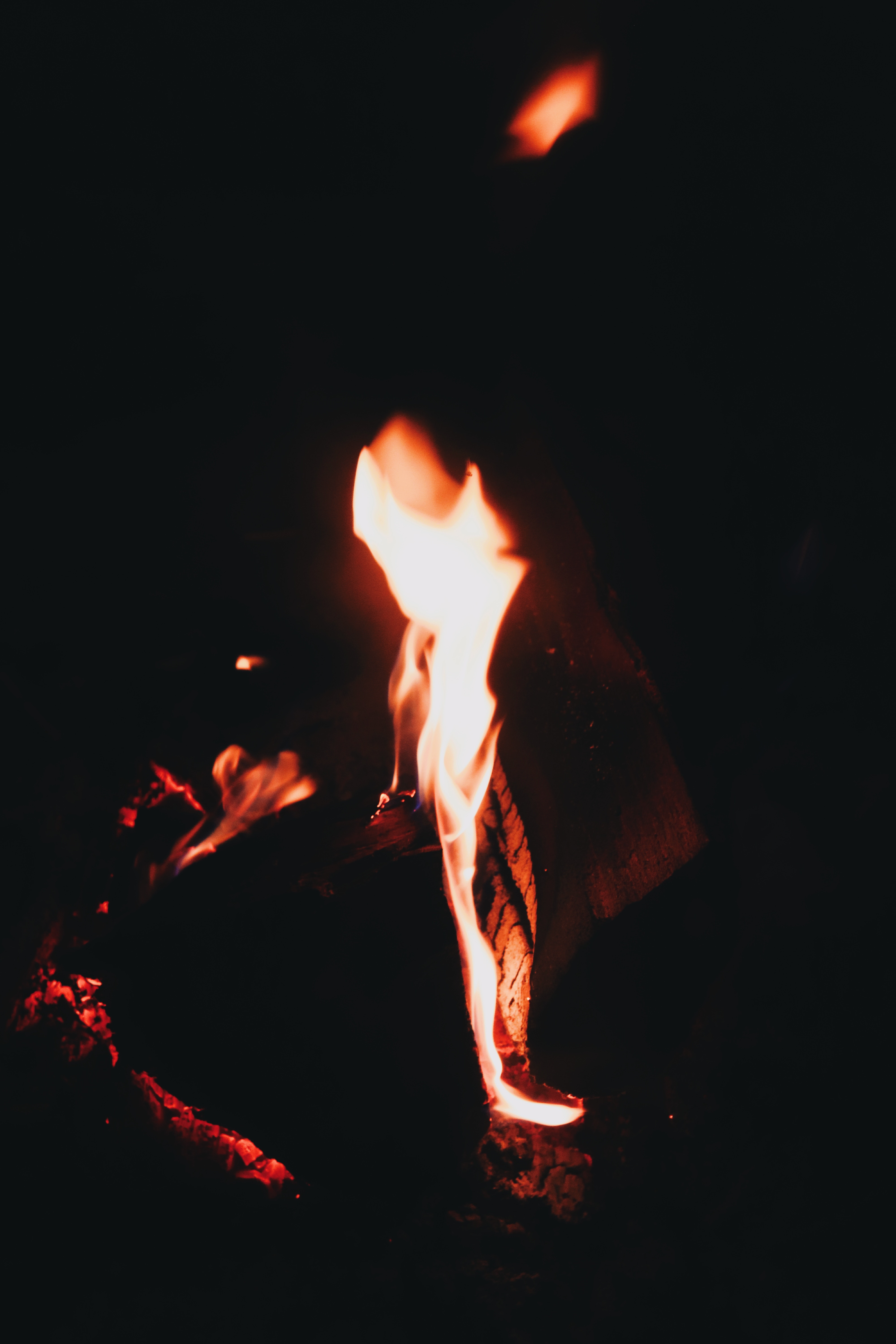 101716 Hintergrundbild herunterladen feuer, bonfire, übernachtung, dunkel, flamme, brennen - Bildschirmschoner und Bilder kostenlos