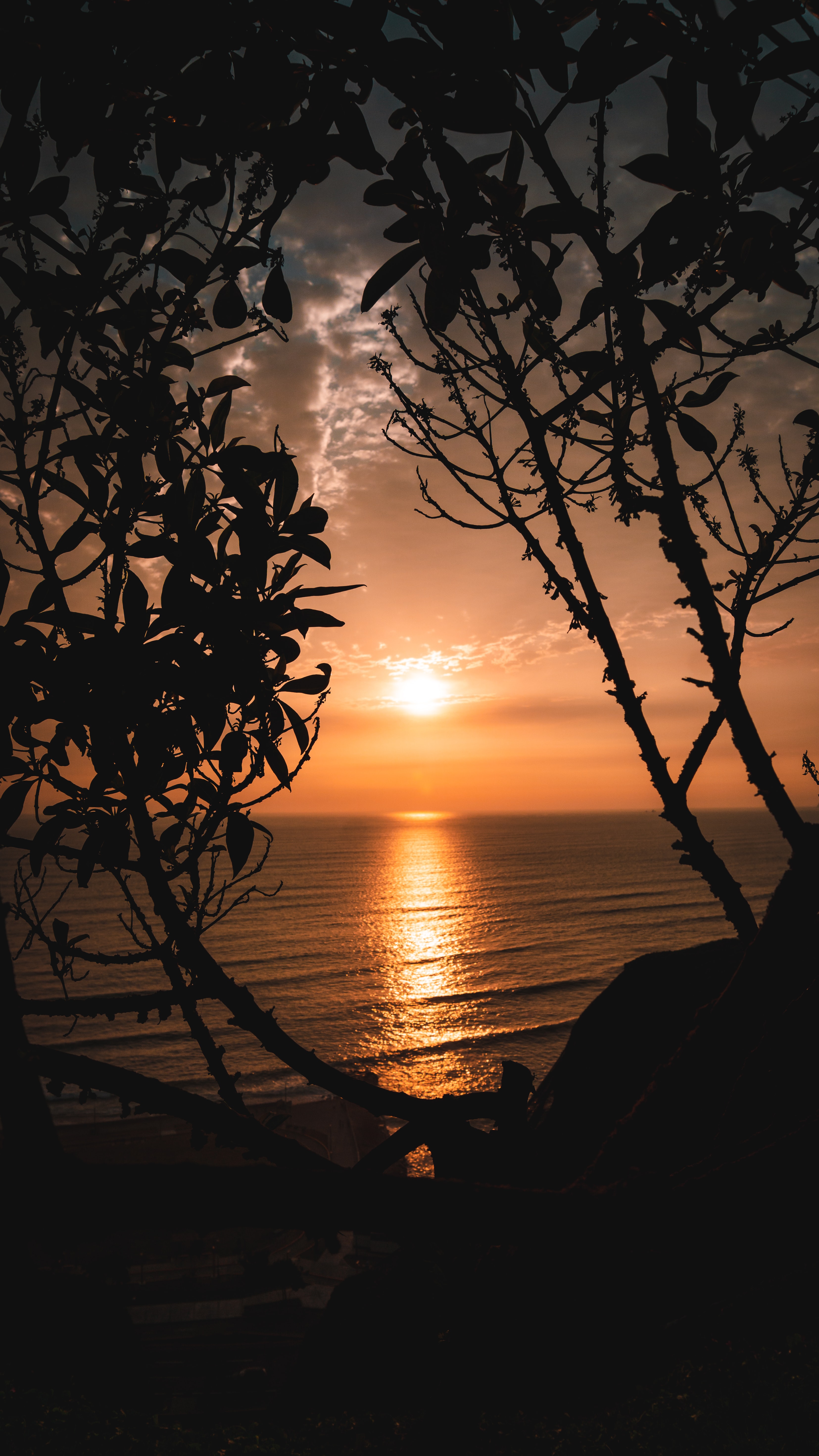 Download mobile wallpaper Sunset, Nature, Branches, Horizon, Trees, Sun for free.
