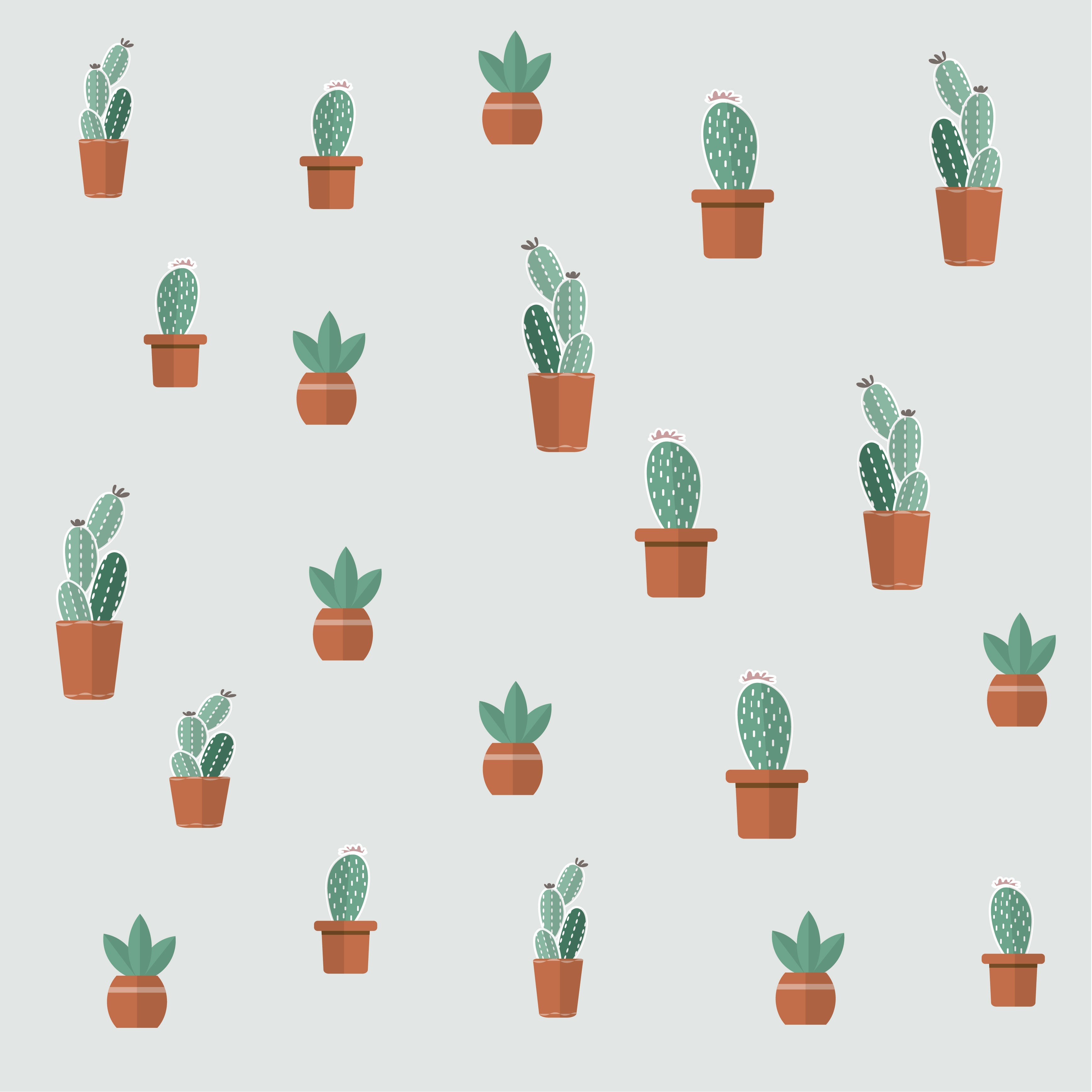 84994 télécharger le fond d'écran cactus, art, patterns, texture, textures, succulentes - économiseurs d'écran et images gratuitement