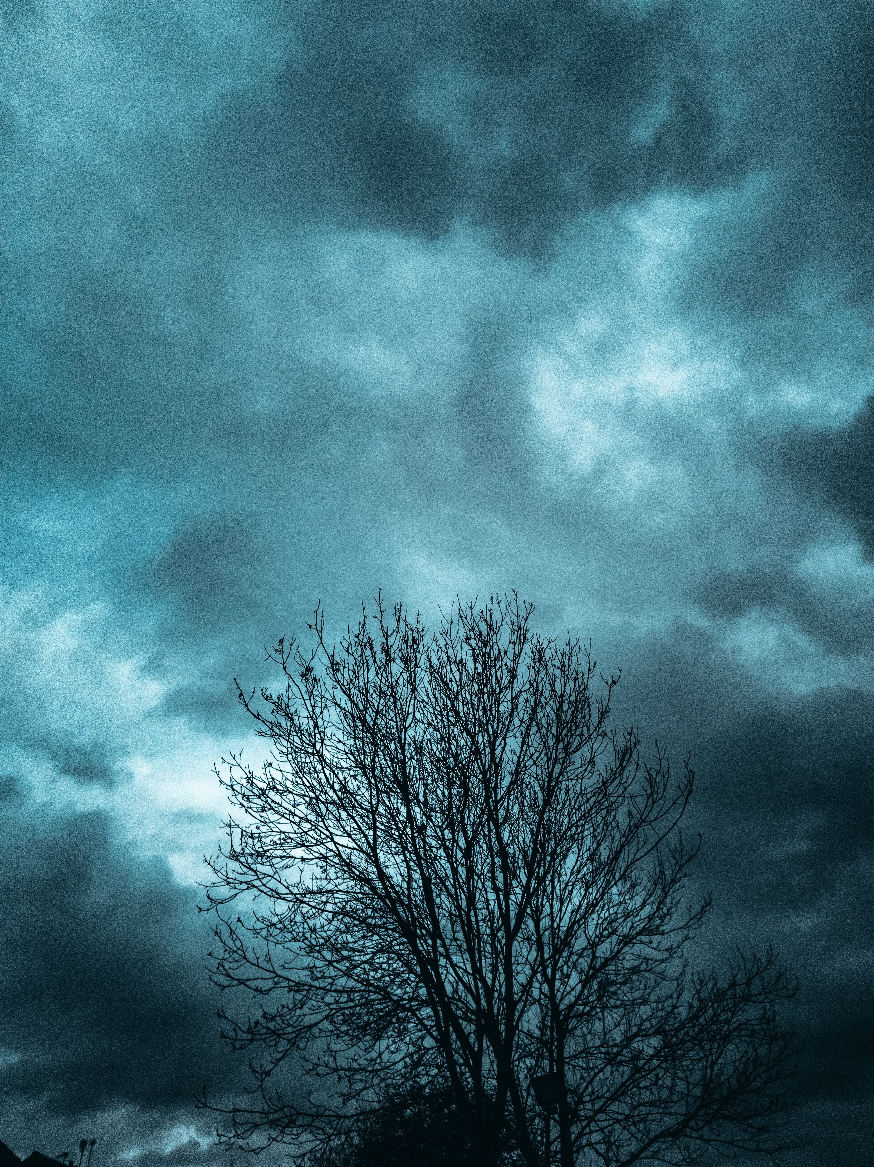 Download mobile wallpaper Wood, Branches, Sky, Clouds, Tree, Nature, Evening for free.