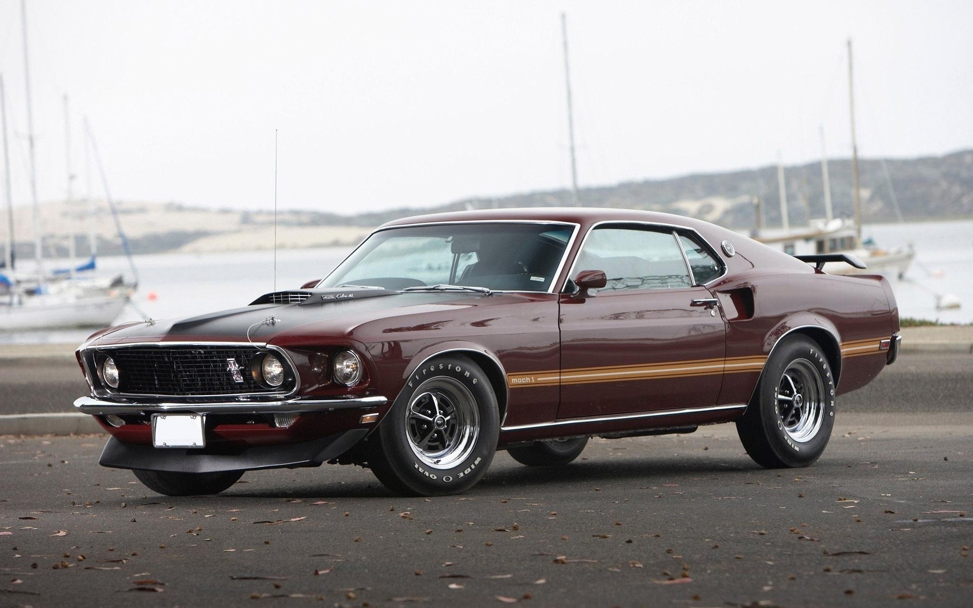 ford mustang mach 1, vehicles, fastback, muscle car, ford Full HD