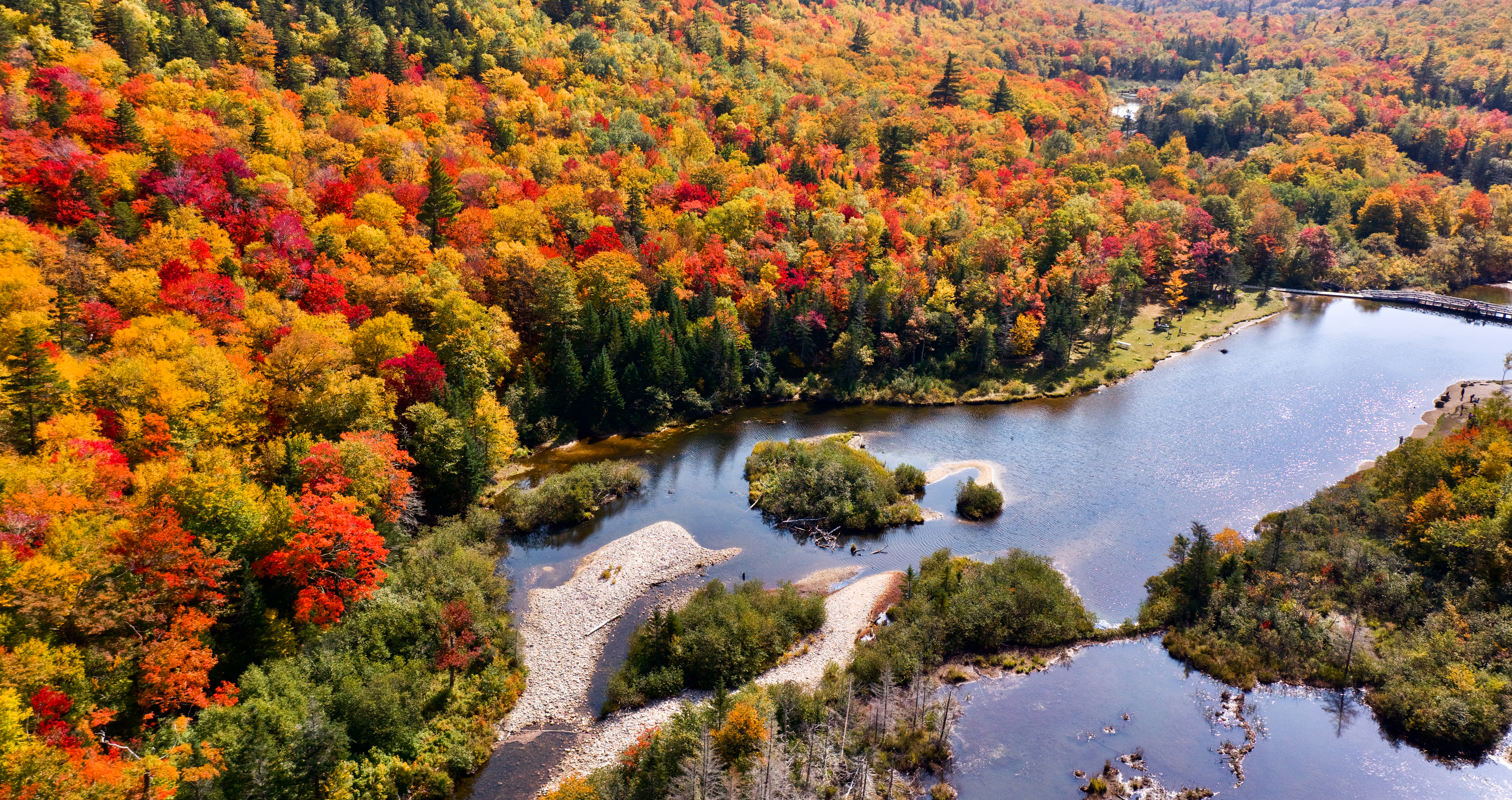 autumn, nature, rivers, view from above, forest, islands