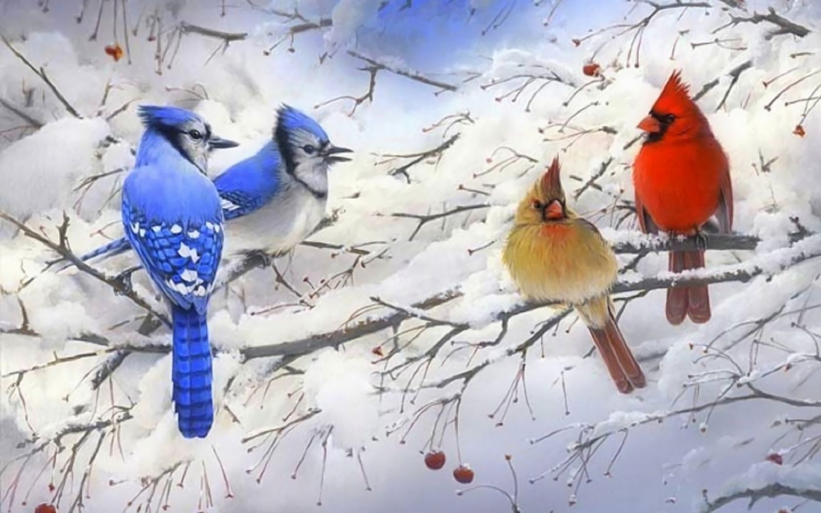 1500360 Hintergrundbild herunterladen tiere, vogel, blauhäher, zweig, kardinal, schnee, winter - Bildschirmschoner und Bilder kostenlos