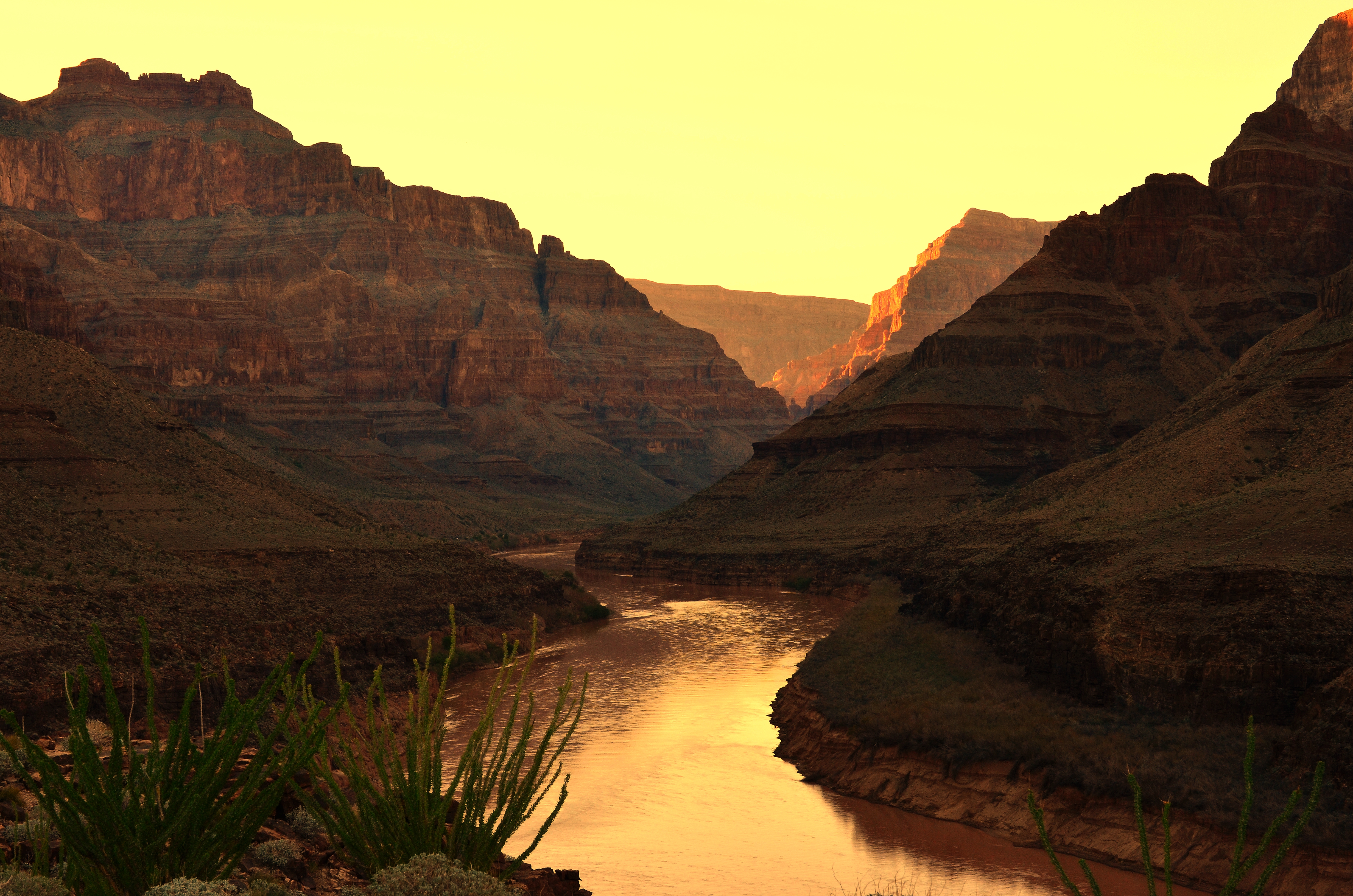 canyon, plants, nature, rivers, sunset, rocks wallpaper for mobile