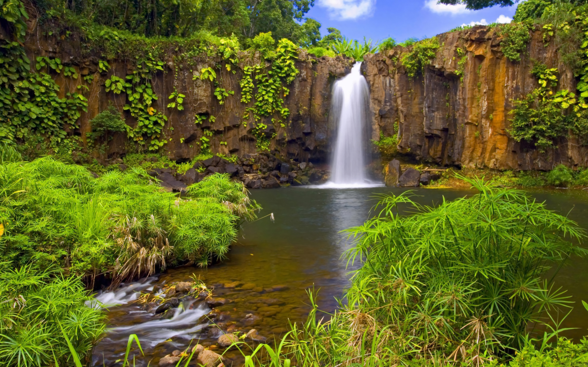 Обои на телефон живой водопад. Водопад. Красивая природа. Живая природа водопады. Заставки на телефон анимация природа.