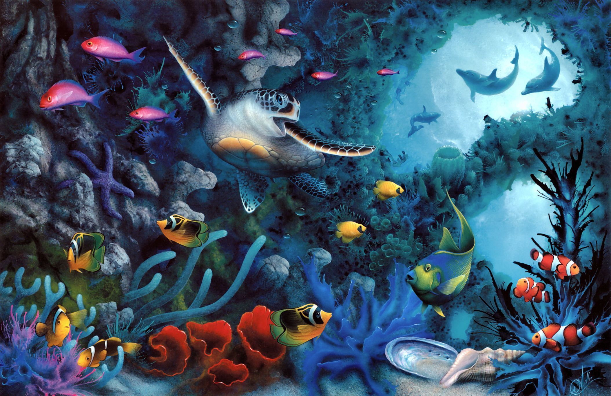 fish, animal, sea life, ocean, reef, turtle HD wallpaper