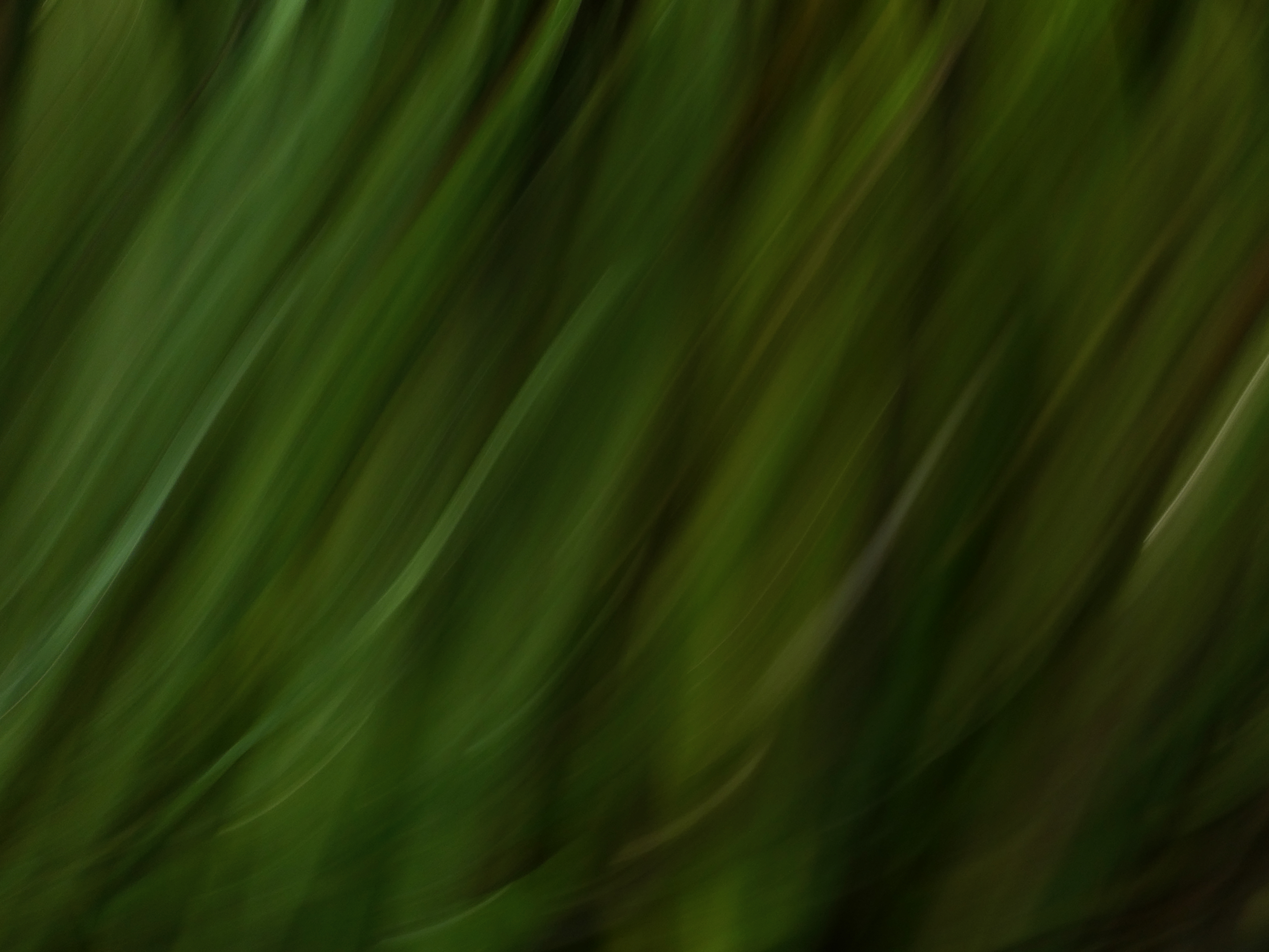 Download mobile wallpaper Distortion, Smooth, Blur, Abstract, Stripes, Streaks, Lines for free.