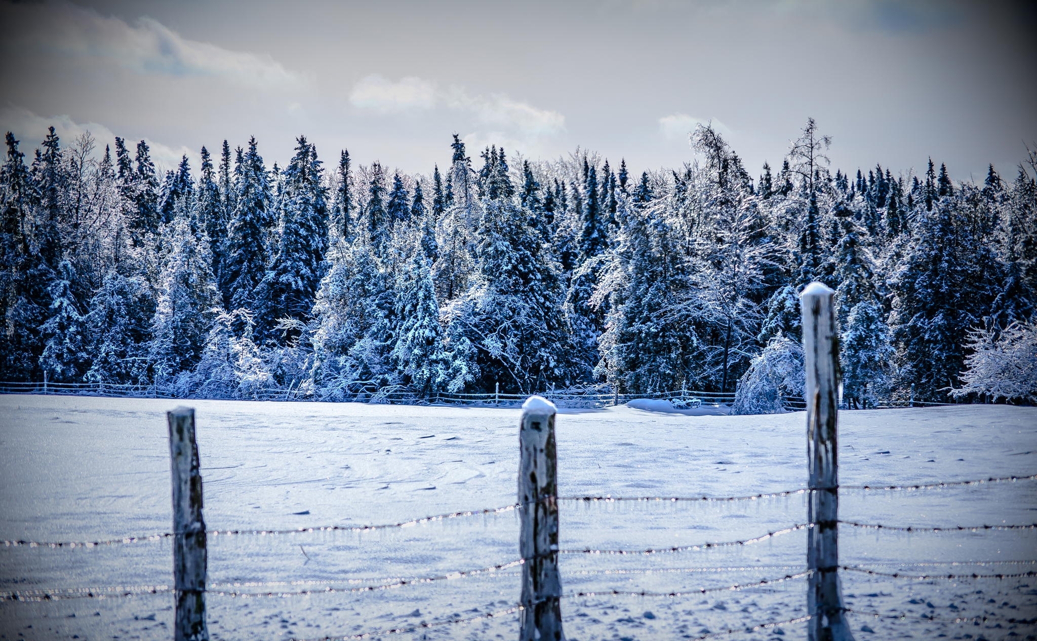 Скачать картинку Снег, Забор, Деревья, Природа, Зима в телефон бесплатно.