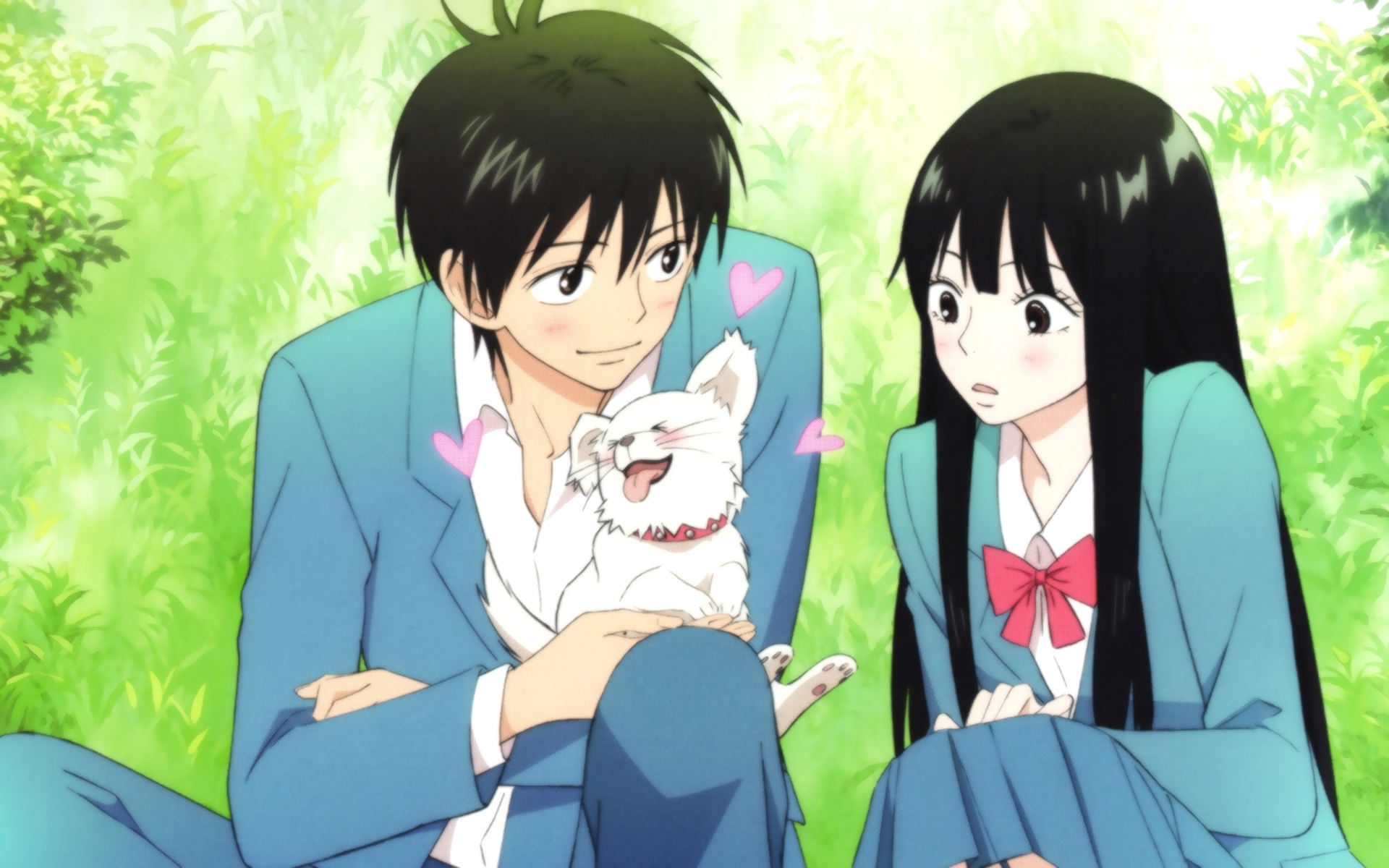 Kimi ni todoke манга скачать фото 8