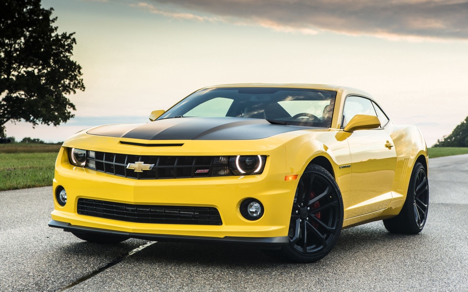 muscle car, chevrolet, camaro, sky, cars, yellow, wood, road, tree, limber, front end, 1le UHD