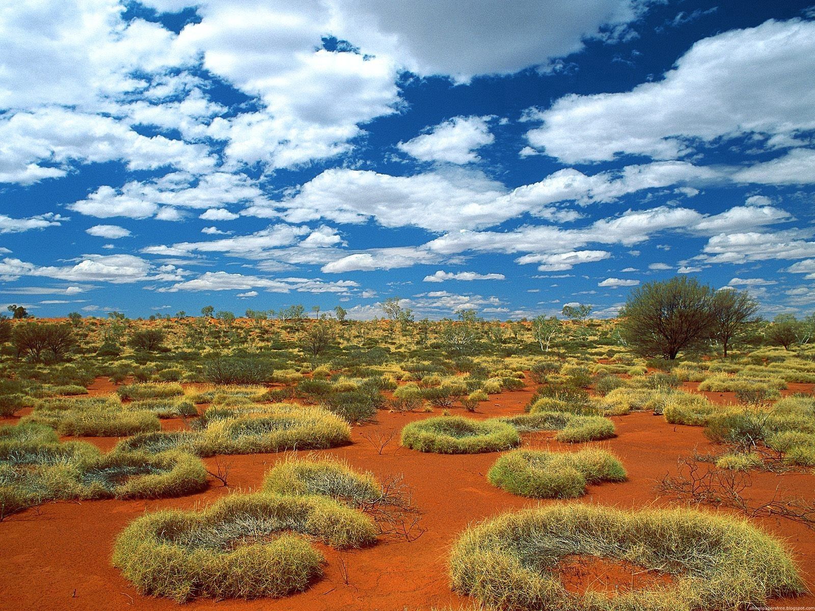 Baixe gratuitamente a imagem Natureza, Céu, Nuvens, Areia, Austrália, Vegetação na área de trabalho do seu PC