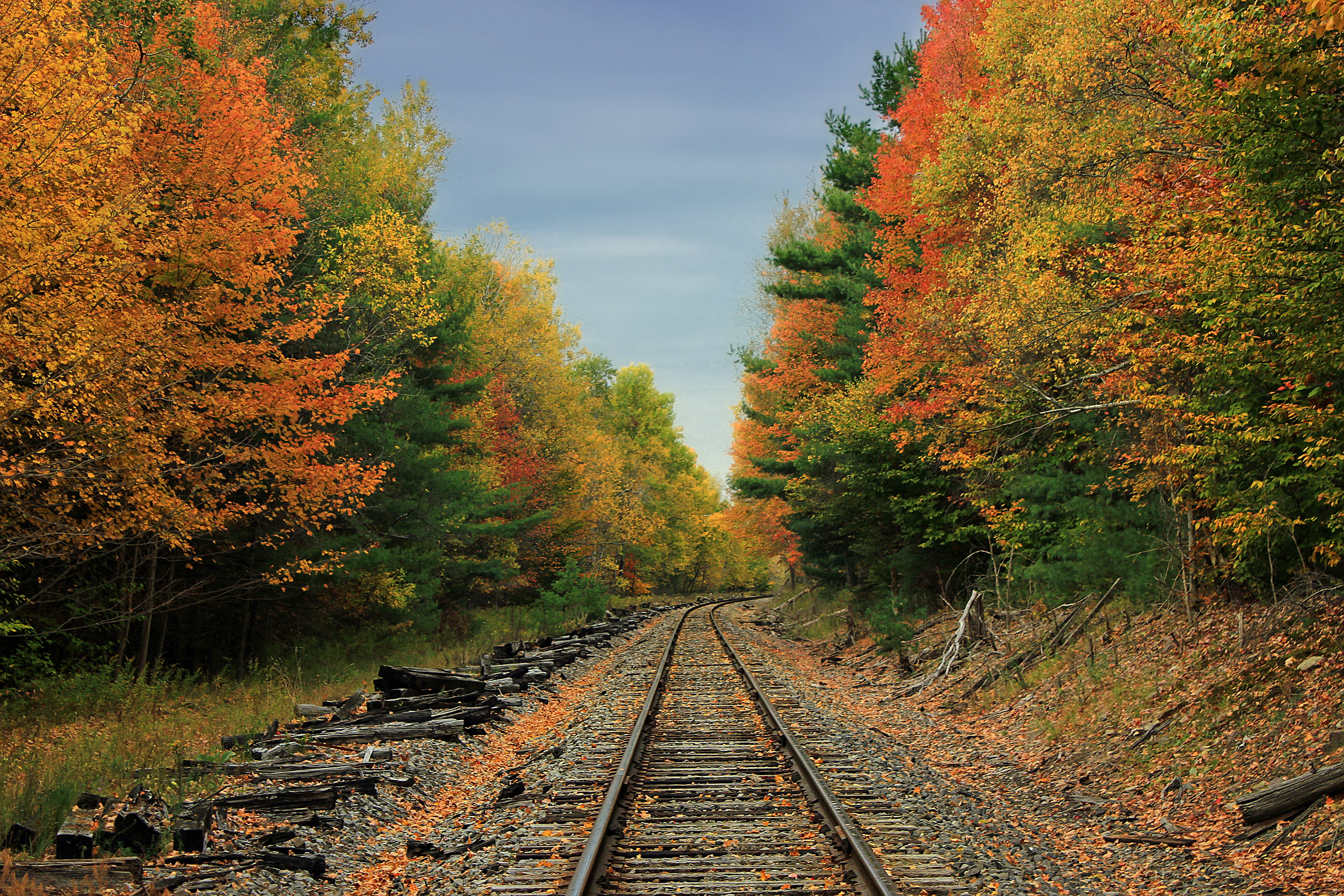 Mobile wallpaper railway, nature, trees, autumn, road, forest